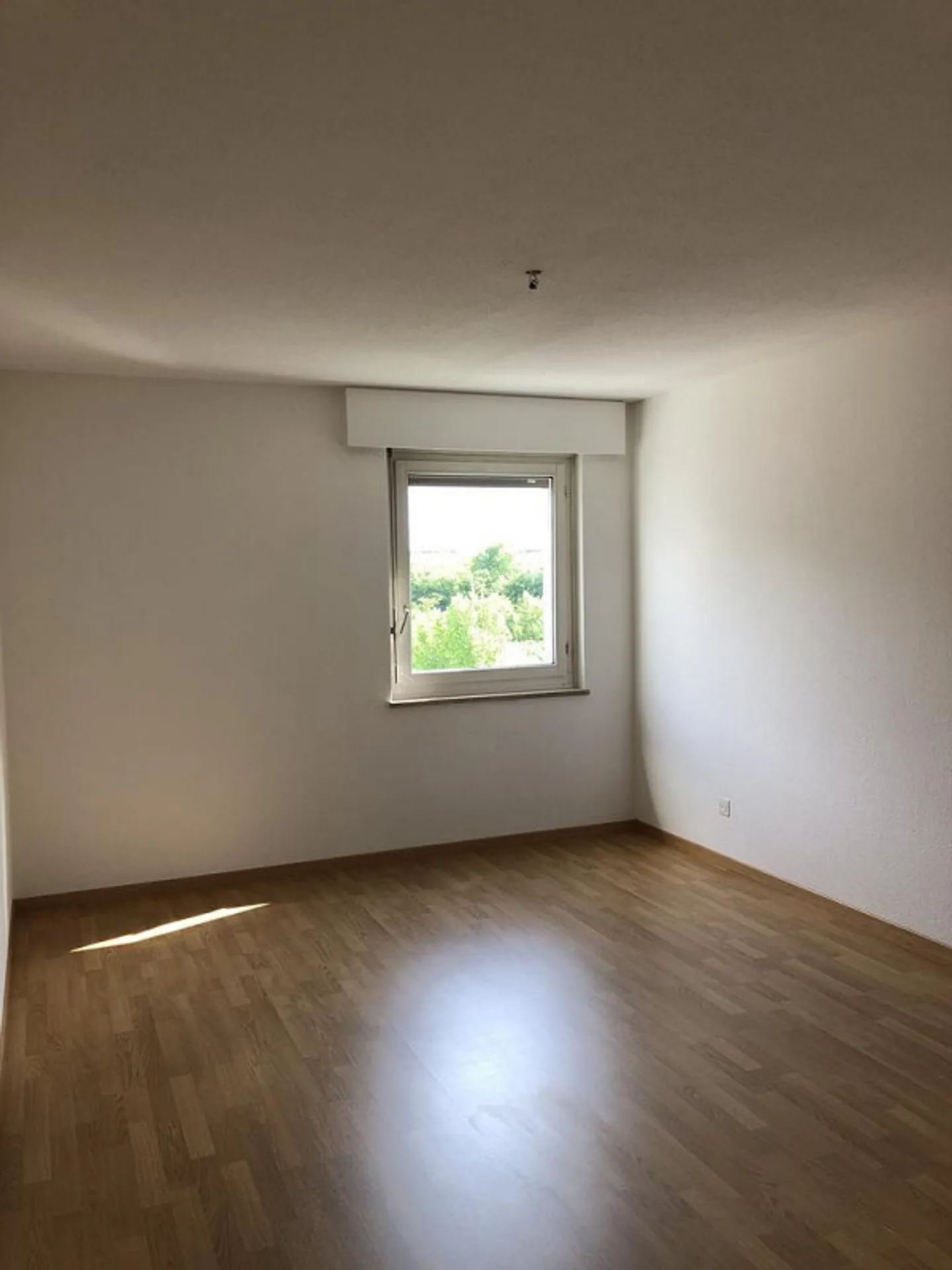 Charmante Wohnung am Rhein - Foto 5 von 7