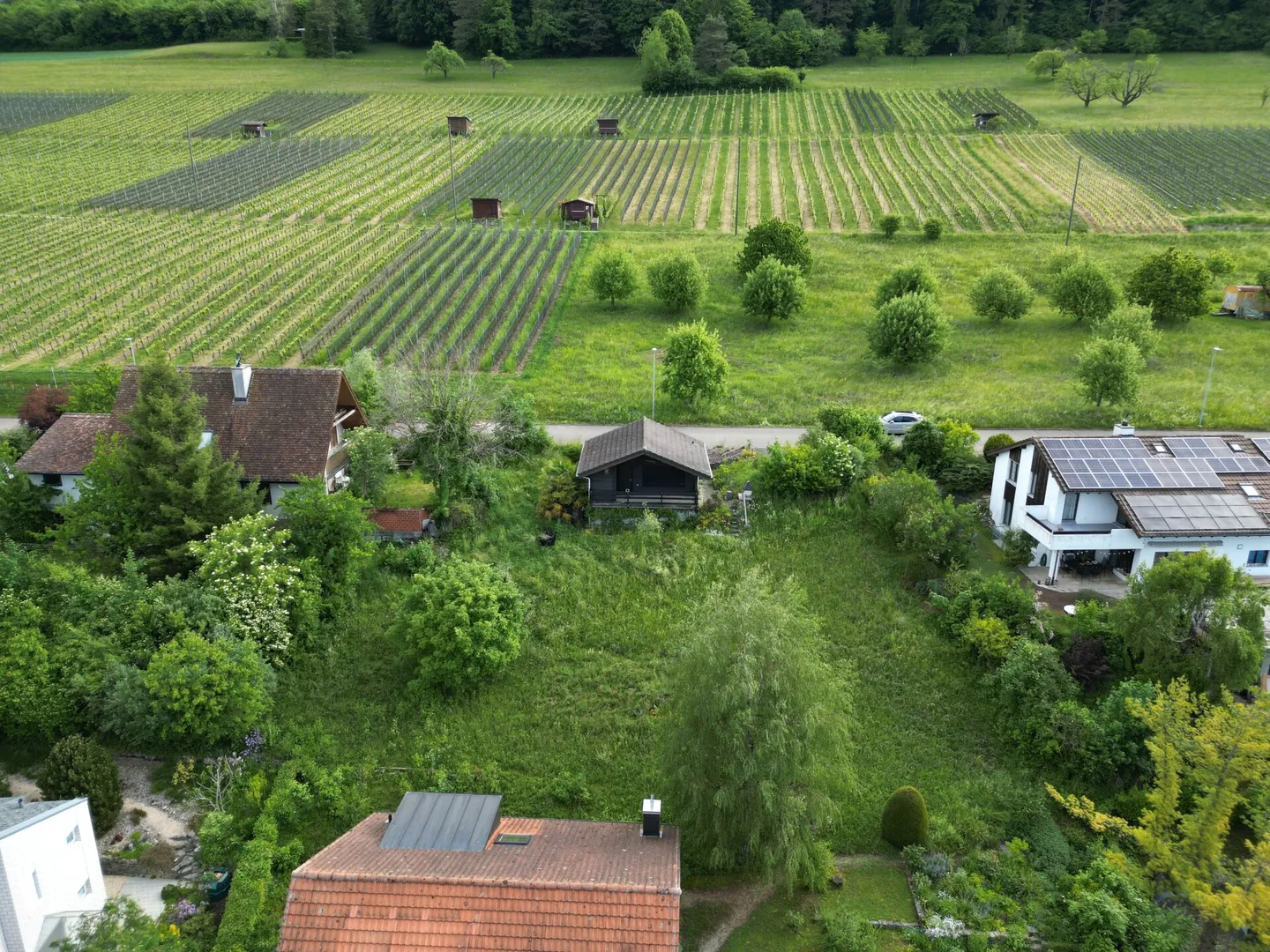Terreno edificabile attraente in una zona residenziale privilegiata! - Foto 3 di 5