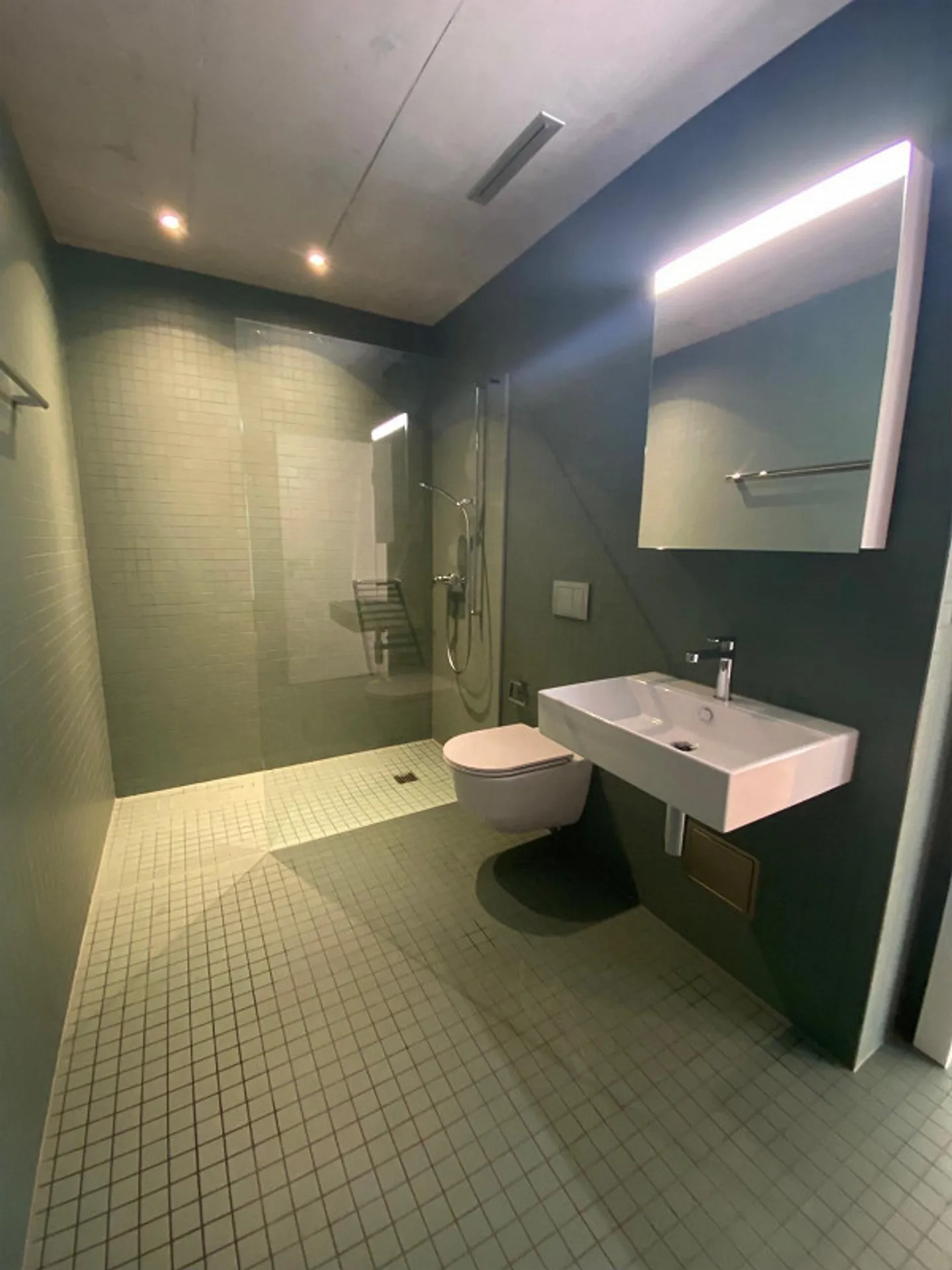 Appartamento singolo moderno in affitto - Foto 8 di 9