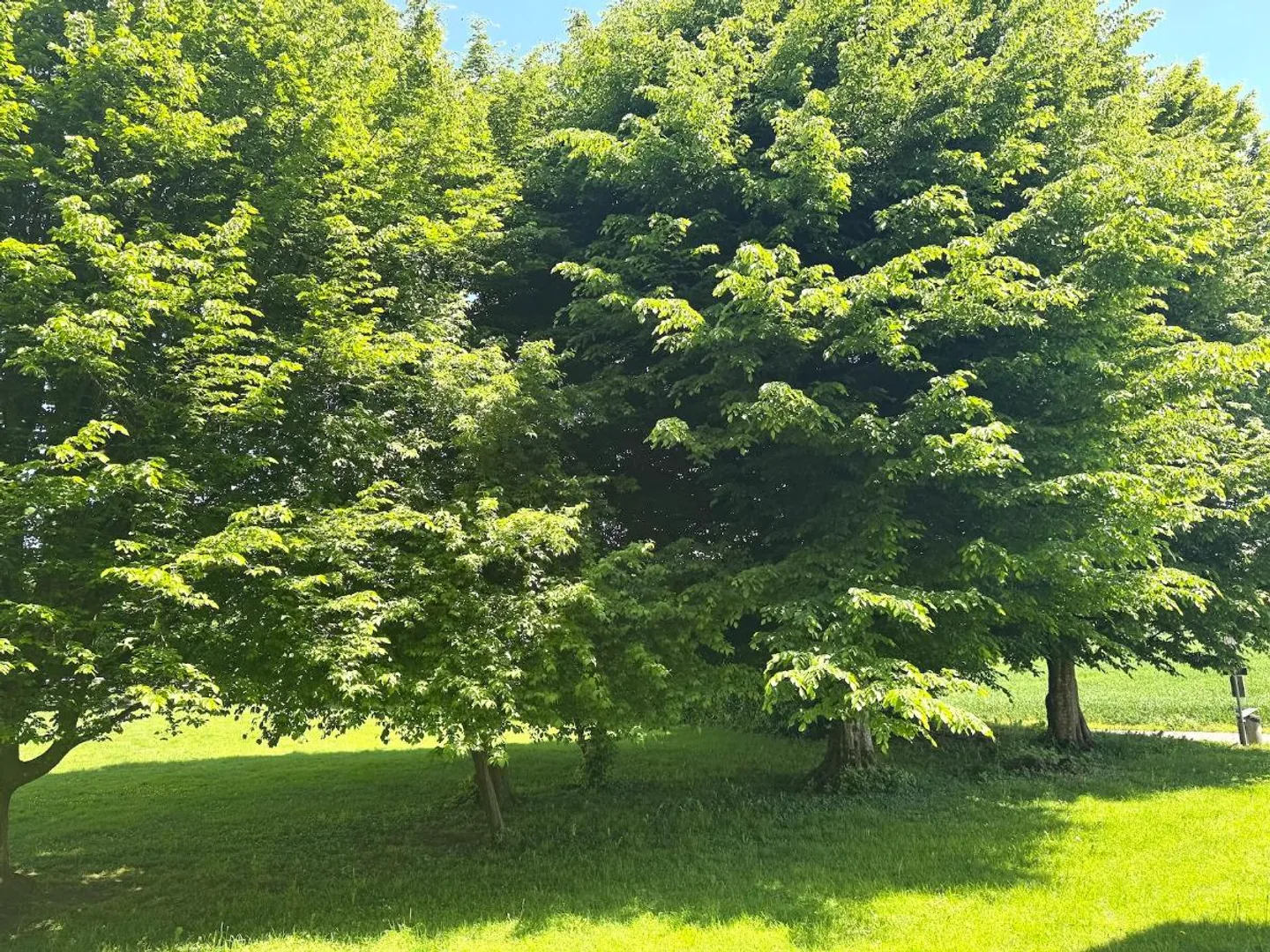 Appartement 4.5 pièces - Photo 3 sur 4