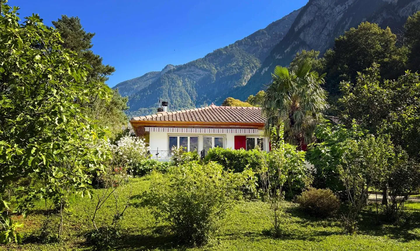 Grande terreno edificabile e casa da ristrutturare nel cuore della tranquillità - Foto 1 di 11