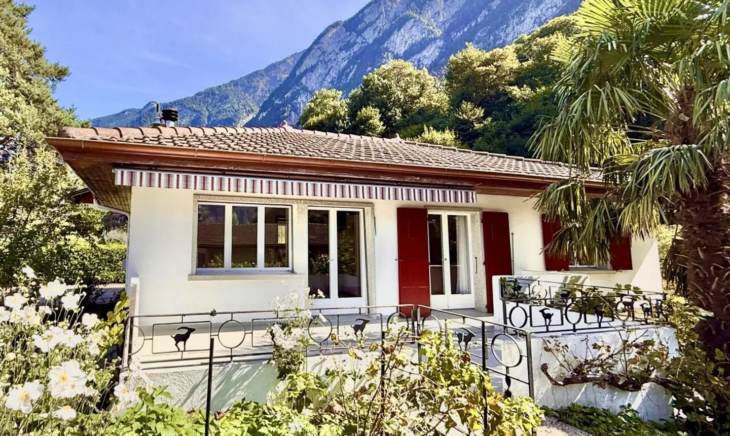 Grande terreno edificabile e casa da ristrutturare nel cuore della tranquillità - Foto 3 di 11