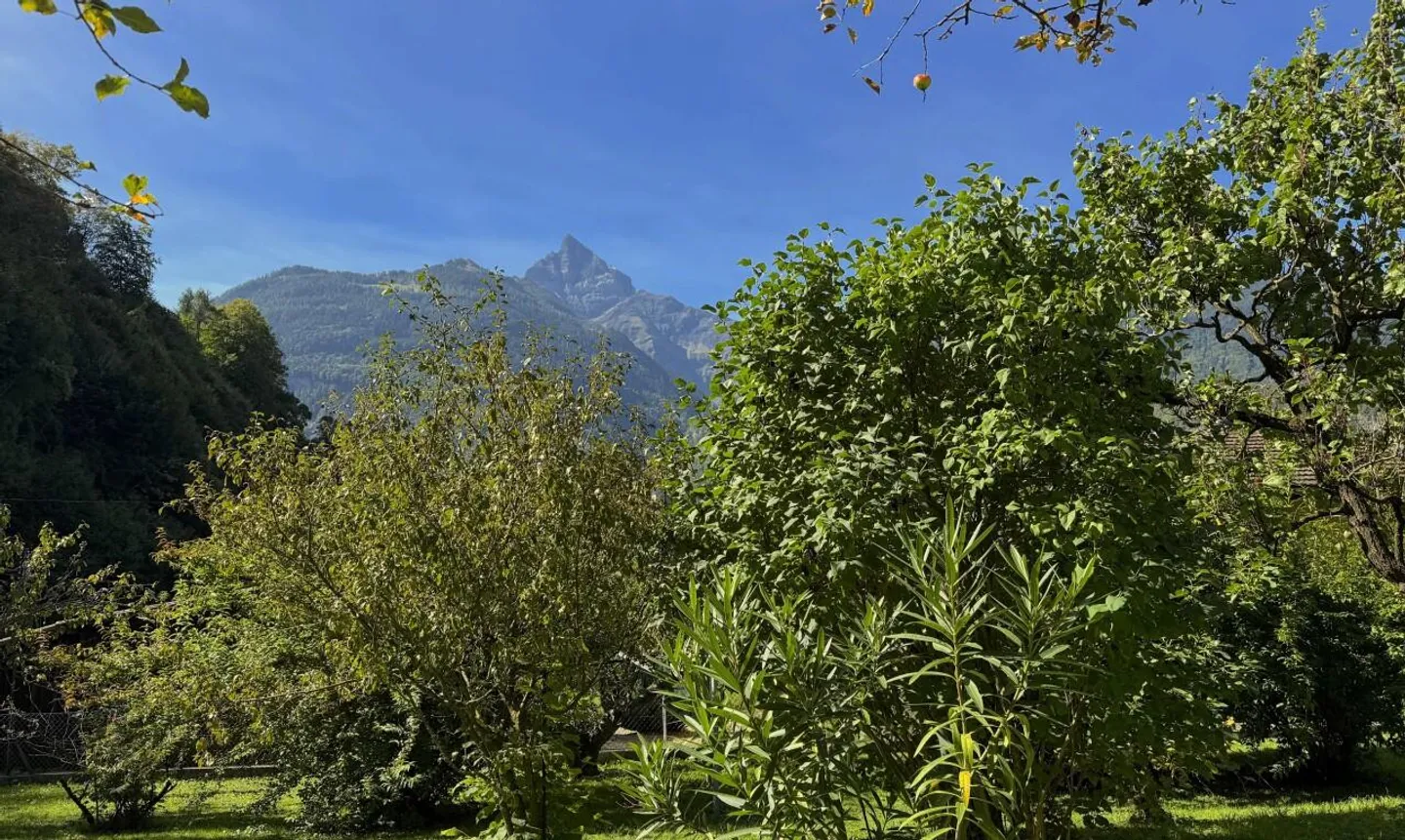 Grande terreno edificabile e casa da ristrutturare nel cuore della tranquillità - Foto 4 di 11