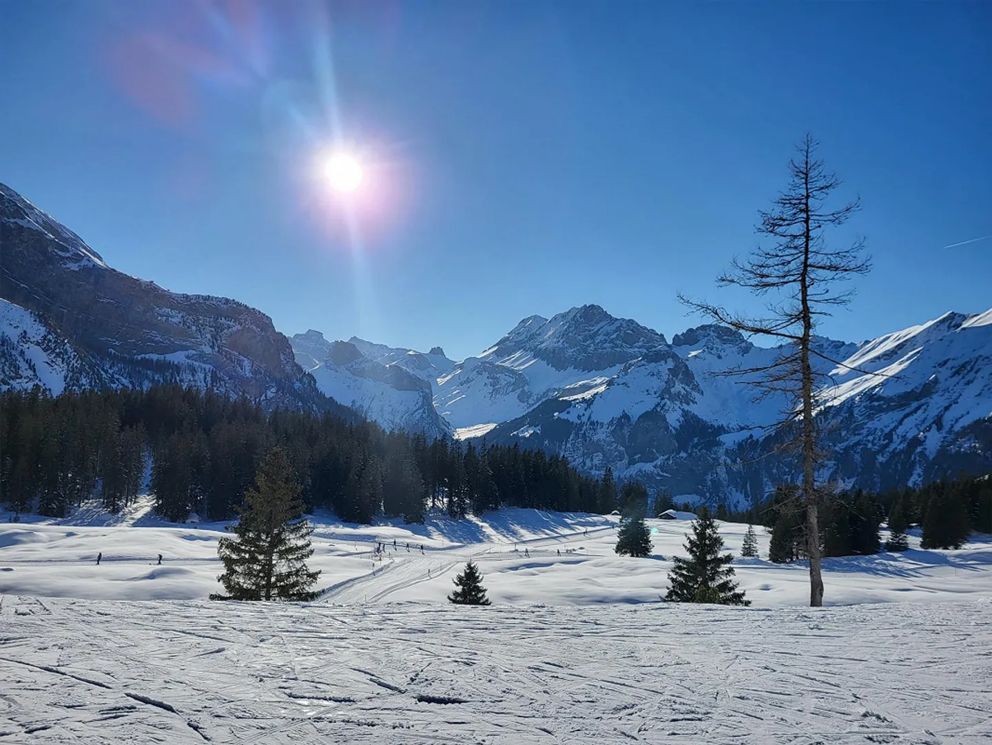 Luminoso appartamento di 2 stanze, 38 m2, a Kandersteg - Foto 11 di 11