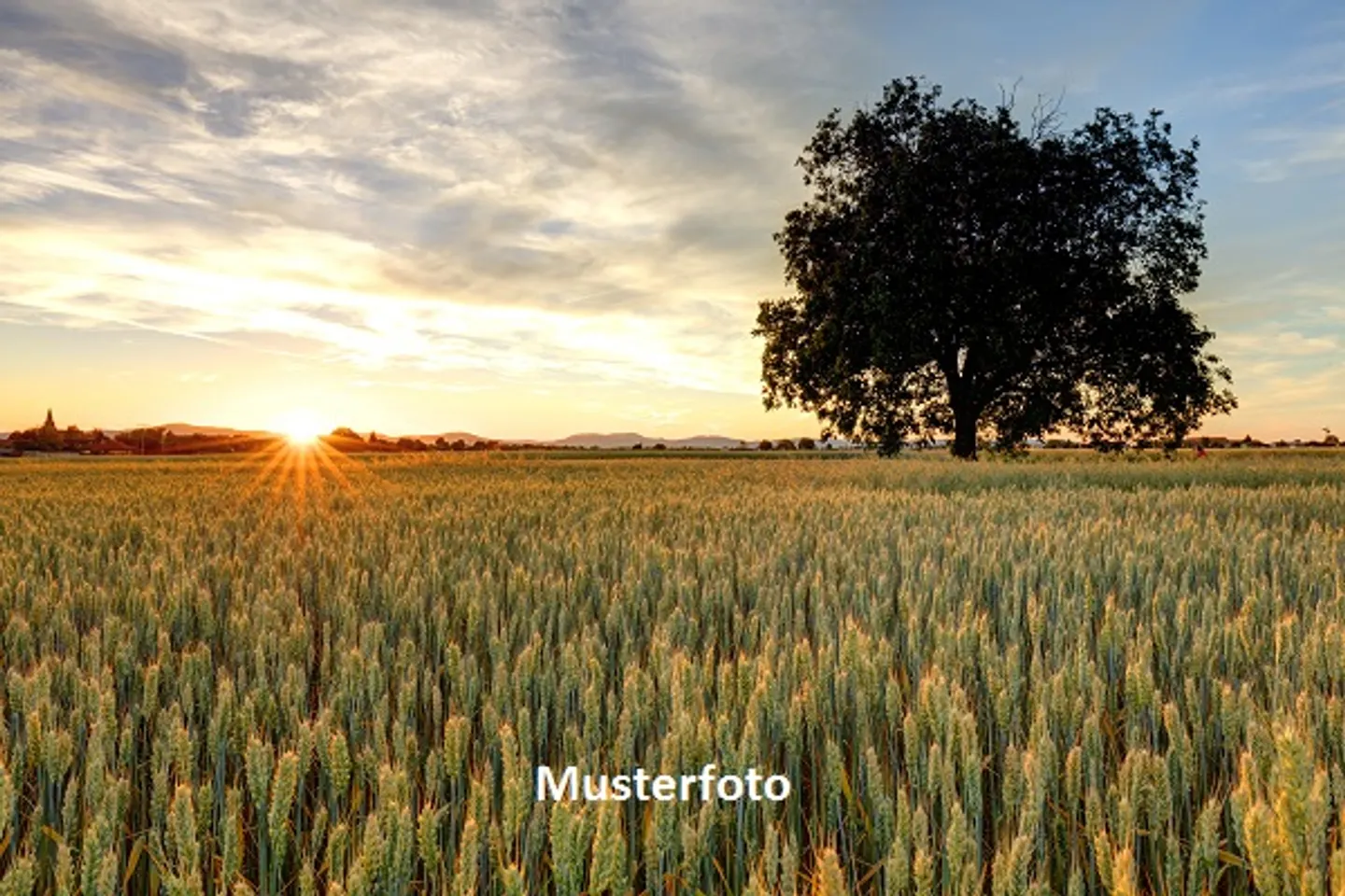 Terreno Agricolo Spazioso - Foto 1 di 13