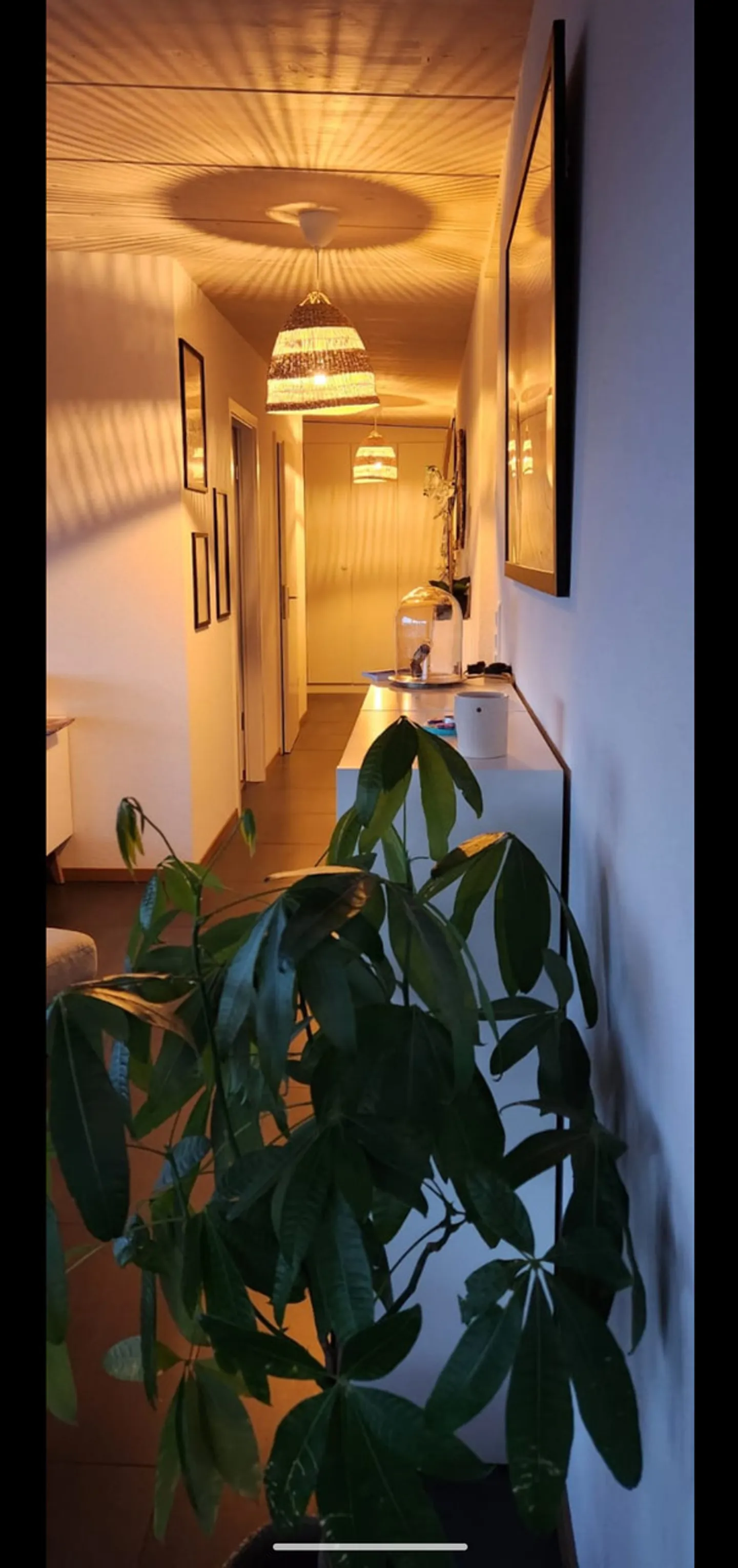 Magnificent 5.5-room apartment - Photo 2 of 11