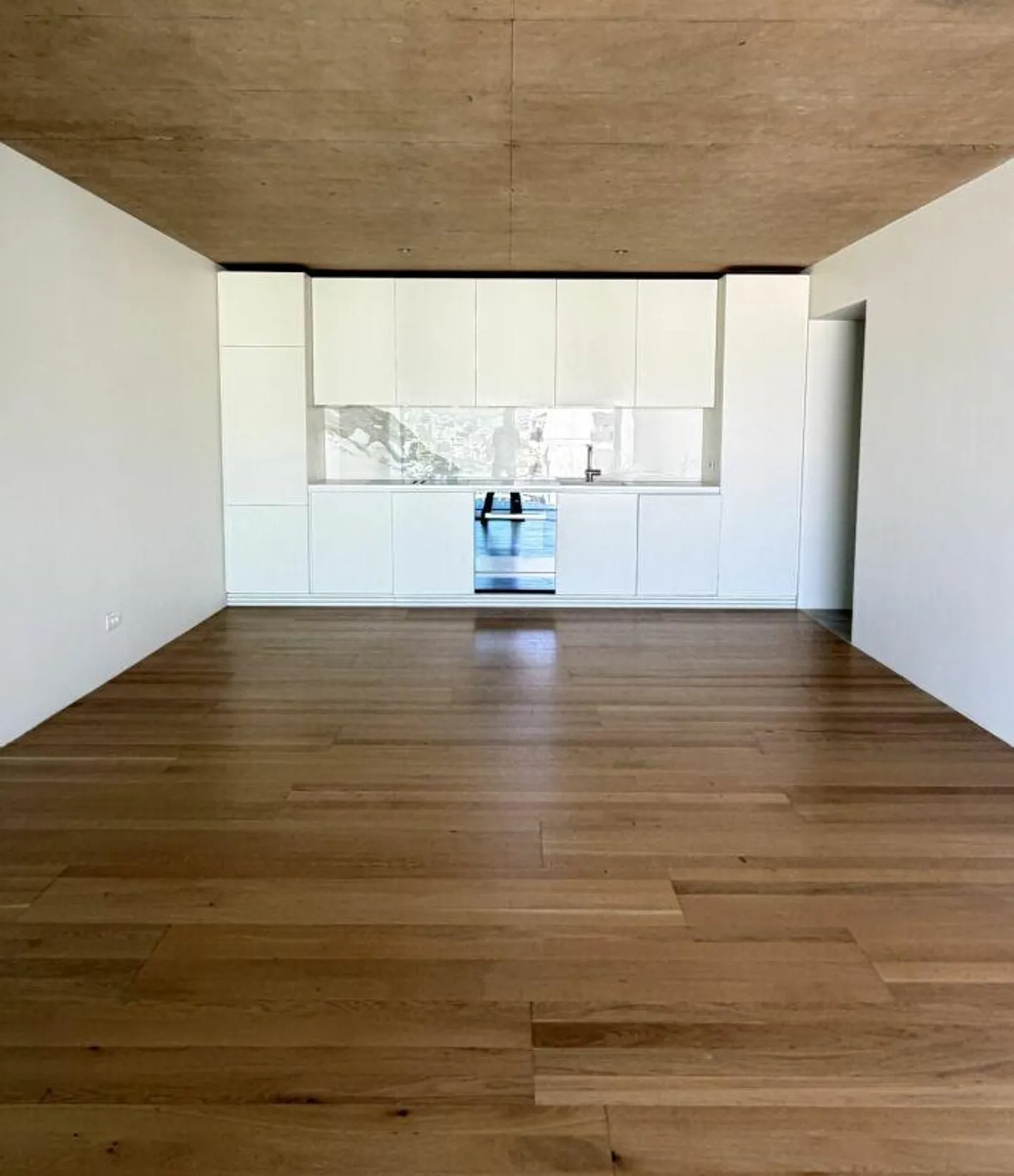 Modern lake view 3.5 rooms - Photo 2 of 11