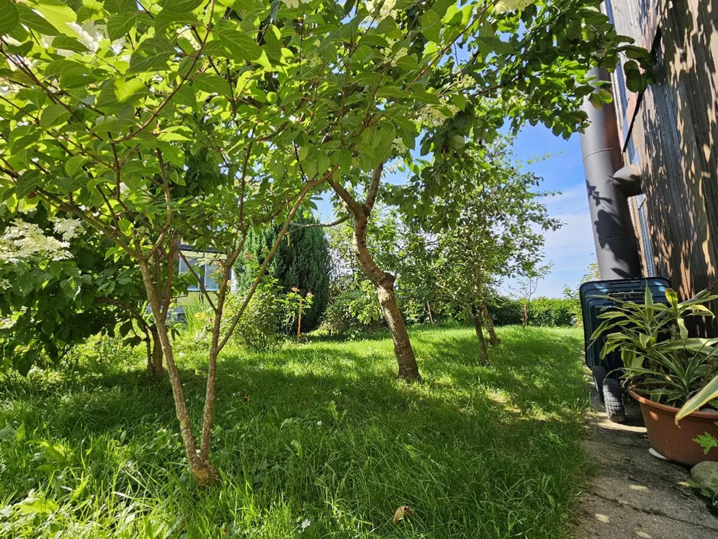 2.5 Zimmer, 60 m², Erdgeschoss mit Weitblick - Foto 7 von 8