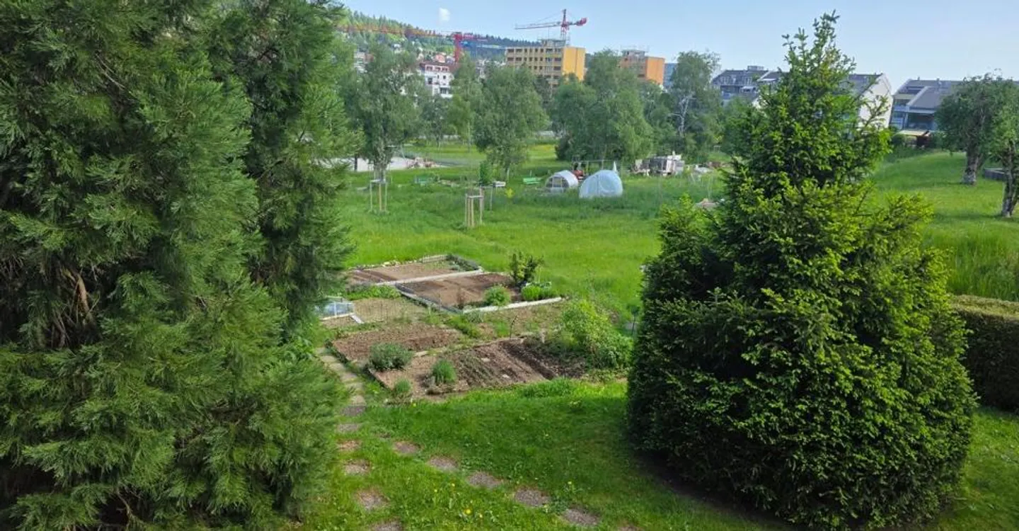 Modernes Apartment mit Garten - Foto 11 von 11