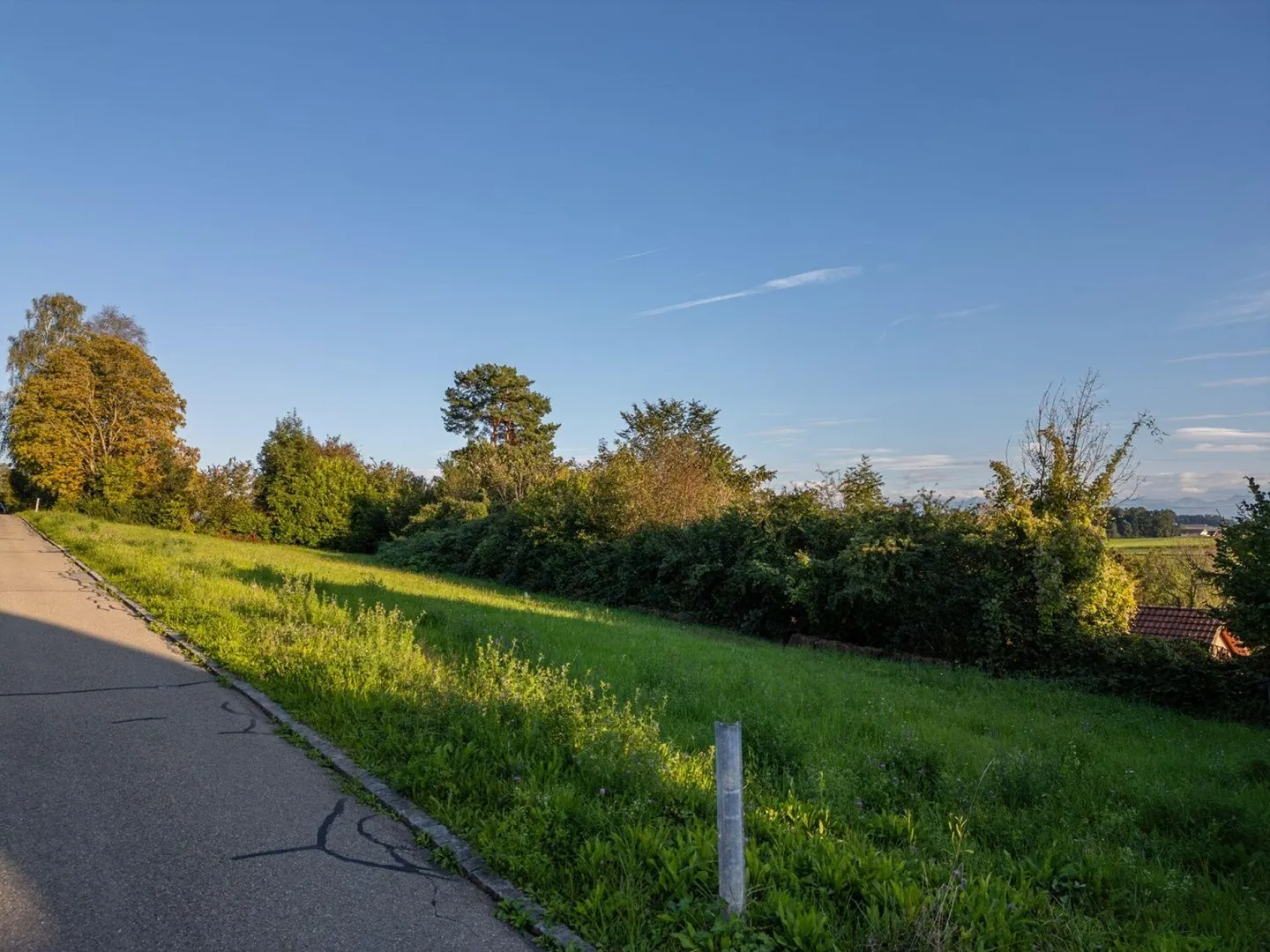 Terrain de construction de rêve dans un emplacement ensoleillé en pente avec vue sur les Alpes copie - Photo 6 sur 13