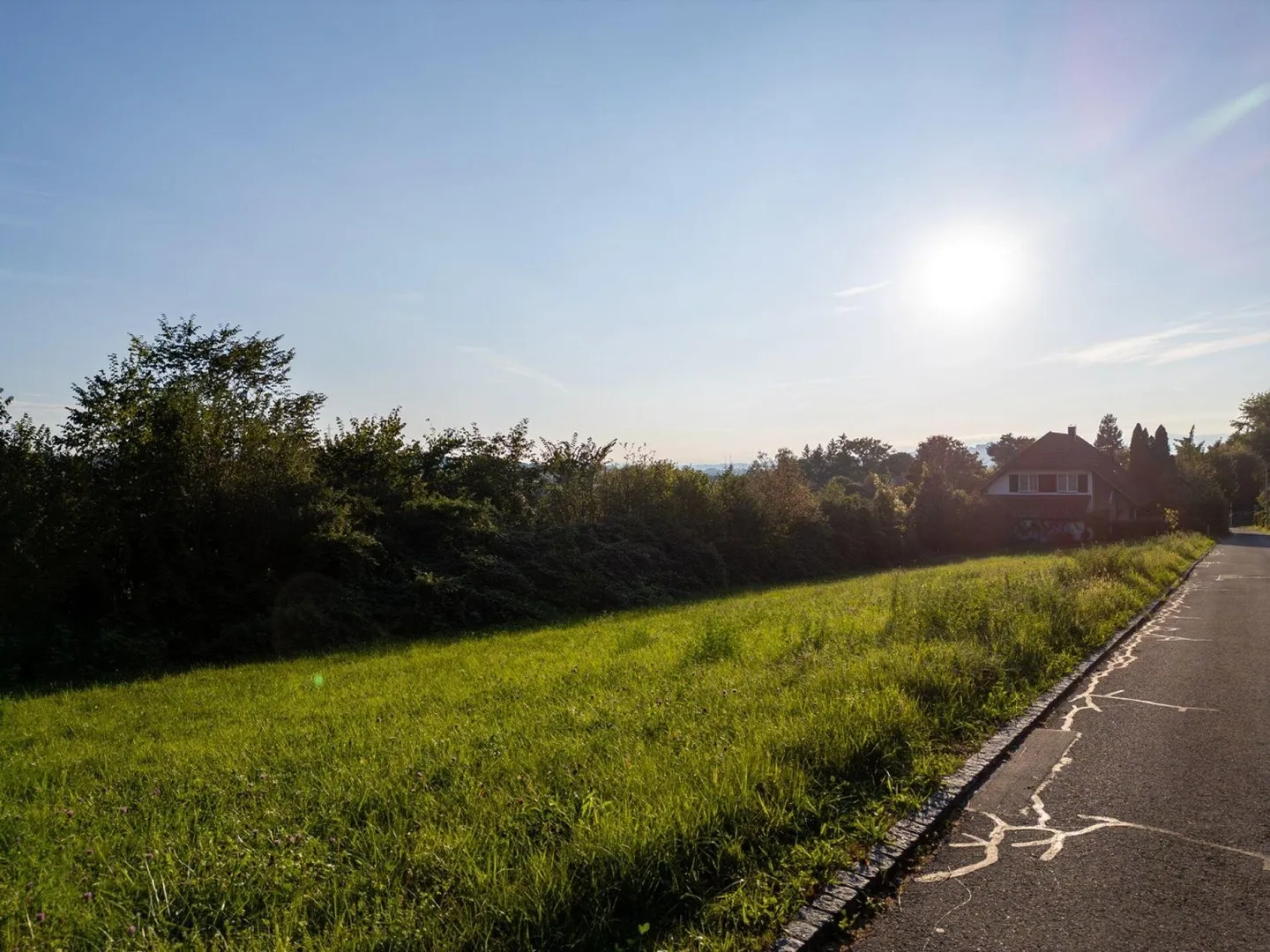 Terrain de construction de rêve dans un emplacement ensoleillé en pente avec vue sur les Alpes copie - Photo 5 sur 13
