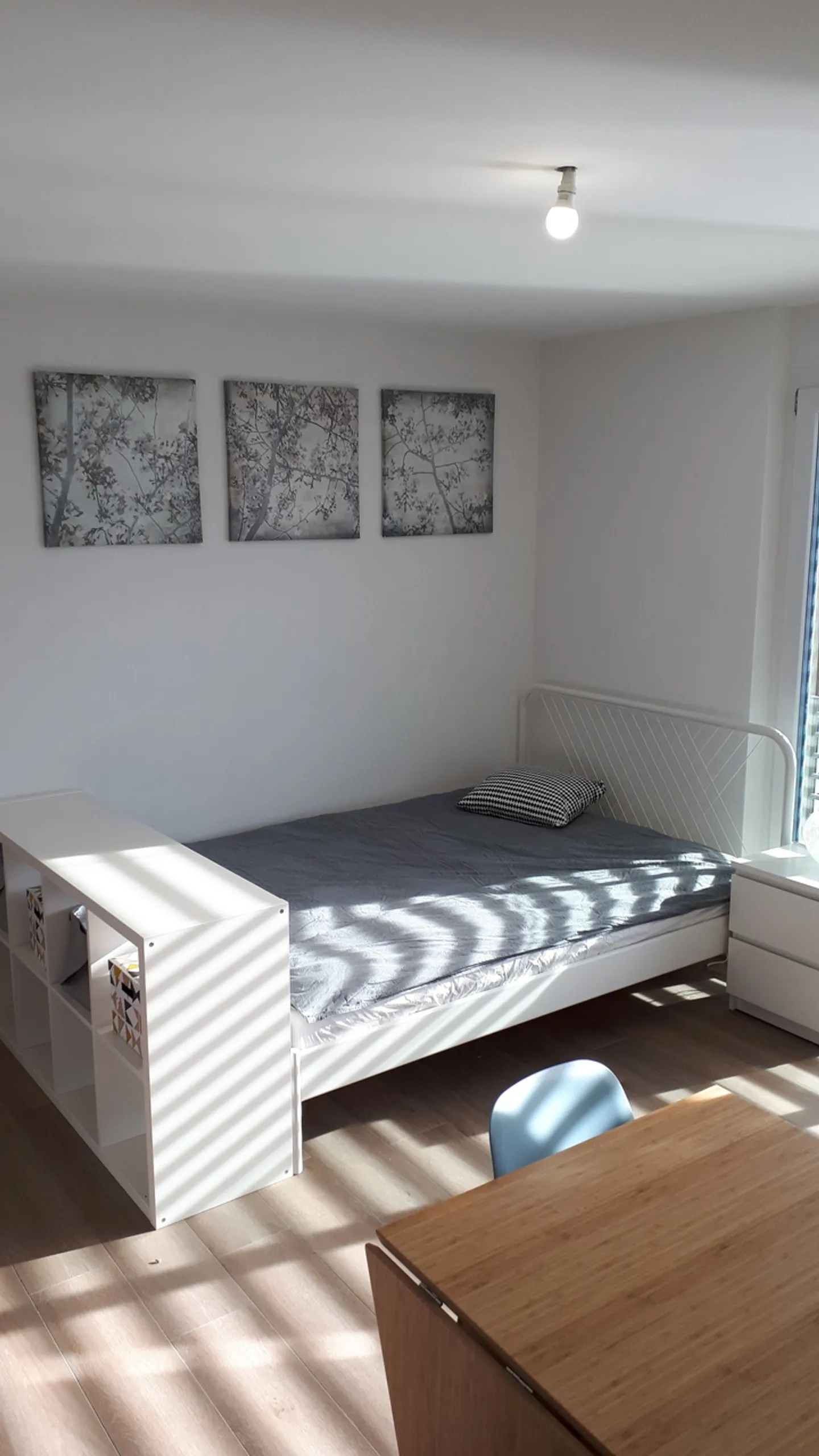 Charming Studio in Bulle - Photo 3 of 4