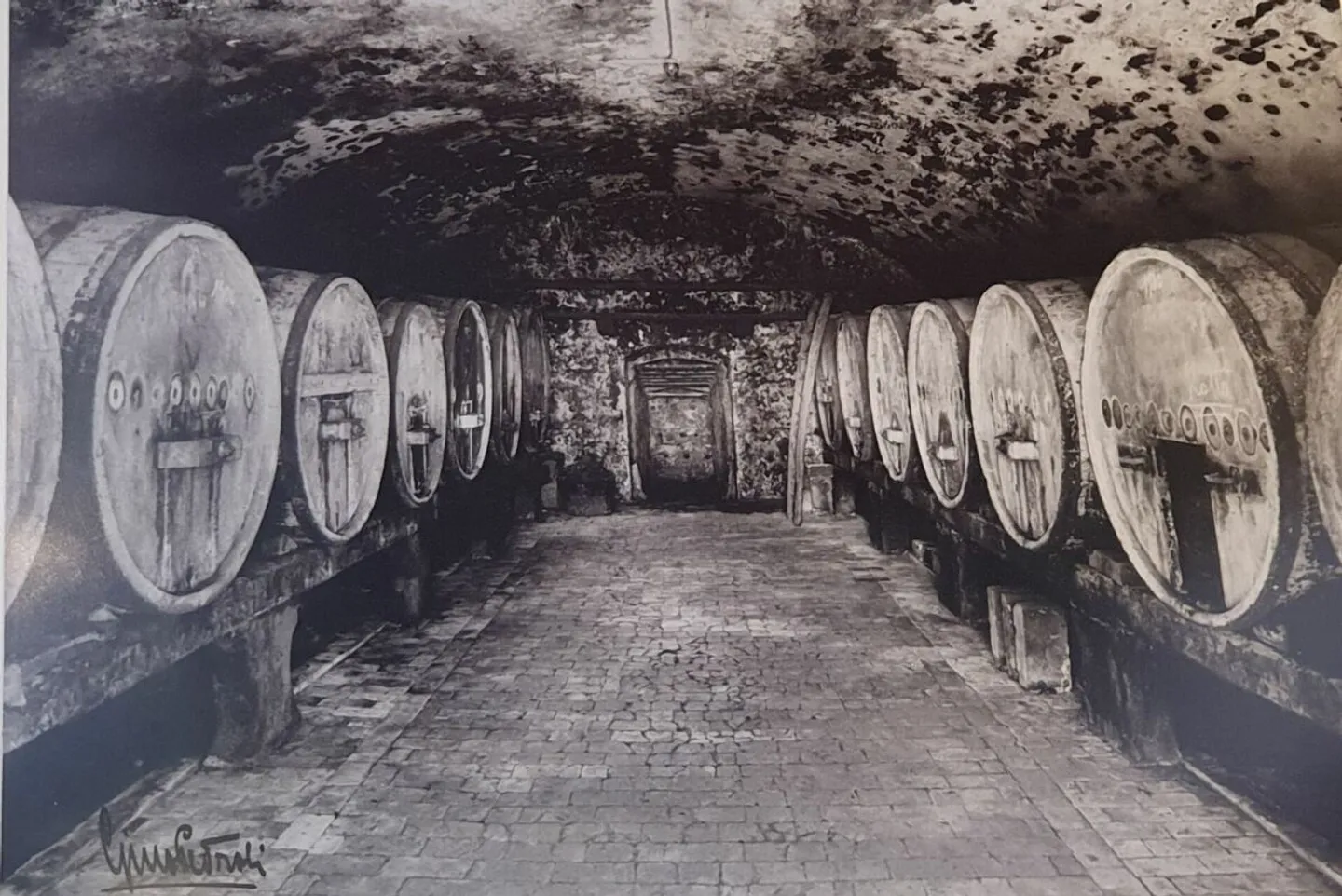 Grotto Bundi bei den Kellern von Mendrisio - Foto 8 von 31