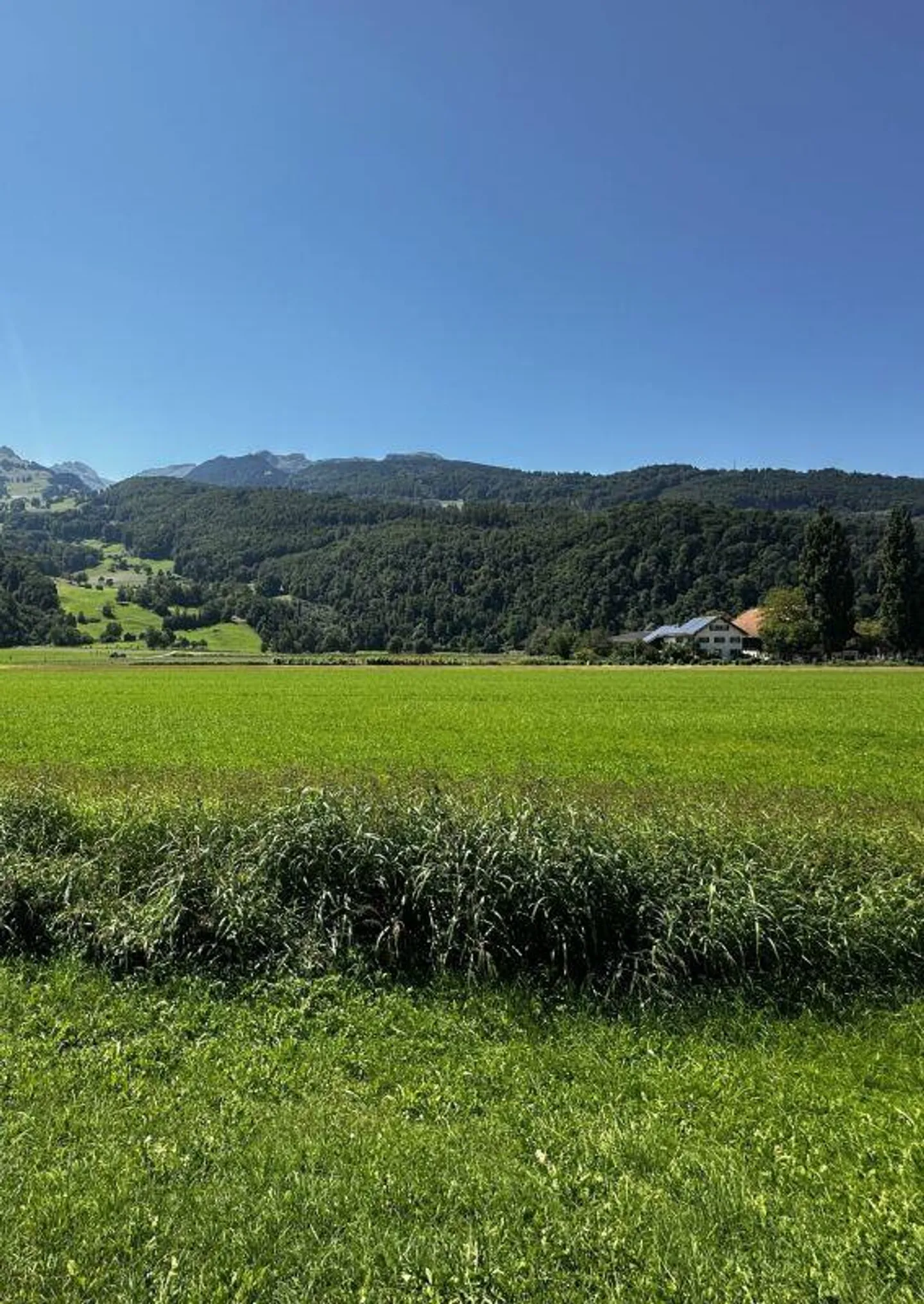 3½-Zimmer-Gartenwohnung an ruhiger Lage - Foto 3 von 8