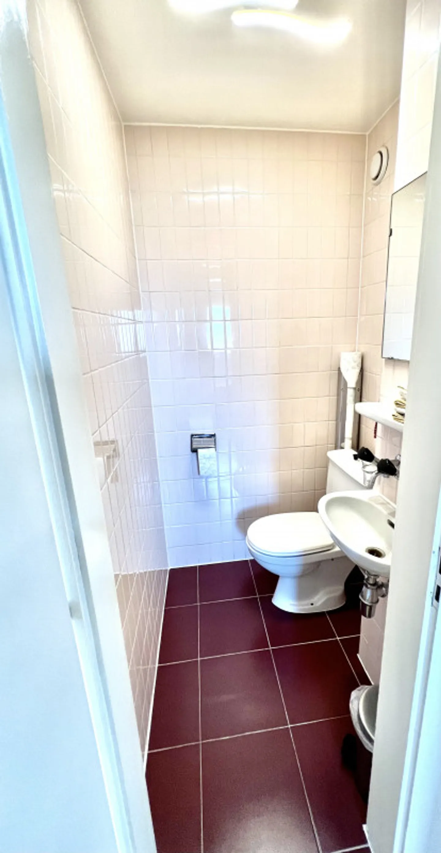 Magnifico appartamento di 2,5 locali con vista panoramica sul Lago di Ginevra - Clarens/Montreux - Foto 9 di 10