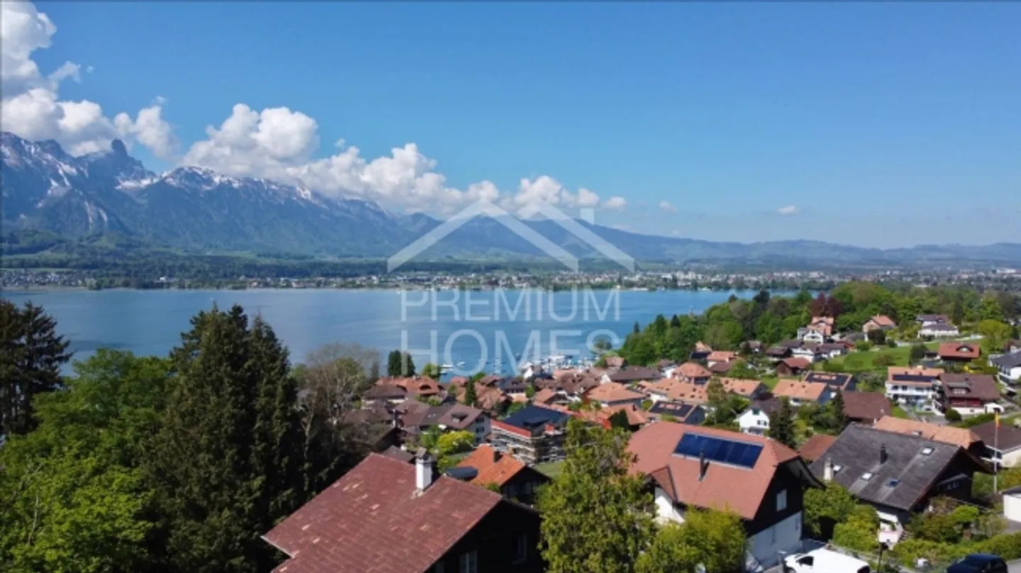 La tua idea. La tua visione. Il tuo profitto - al Lago di Thun! - Foto 4 di 4
