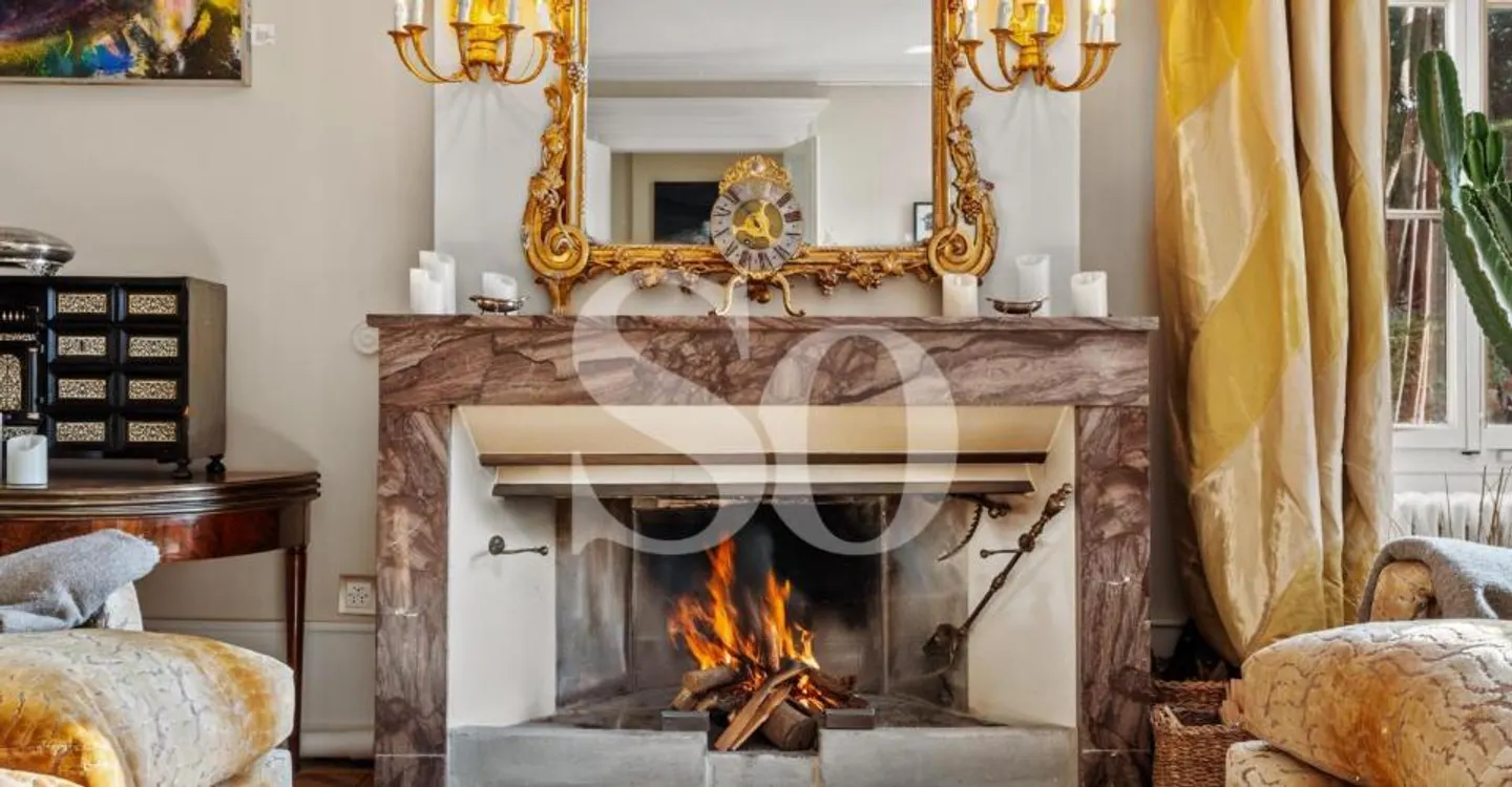 Master House in the heart of a large wooded park, Cologny - Photo 4 of 11