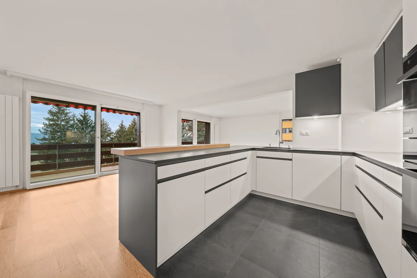 Appartement spacieux avec vue lac - Photo 1 sur 16