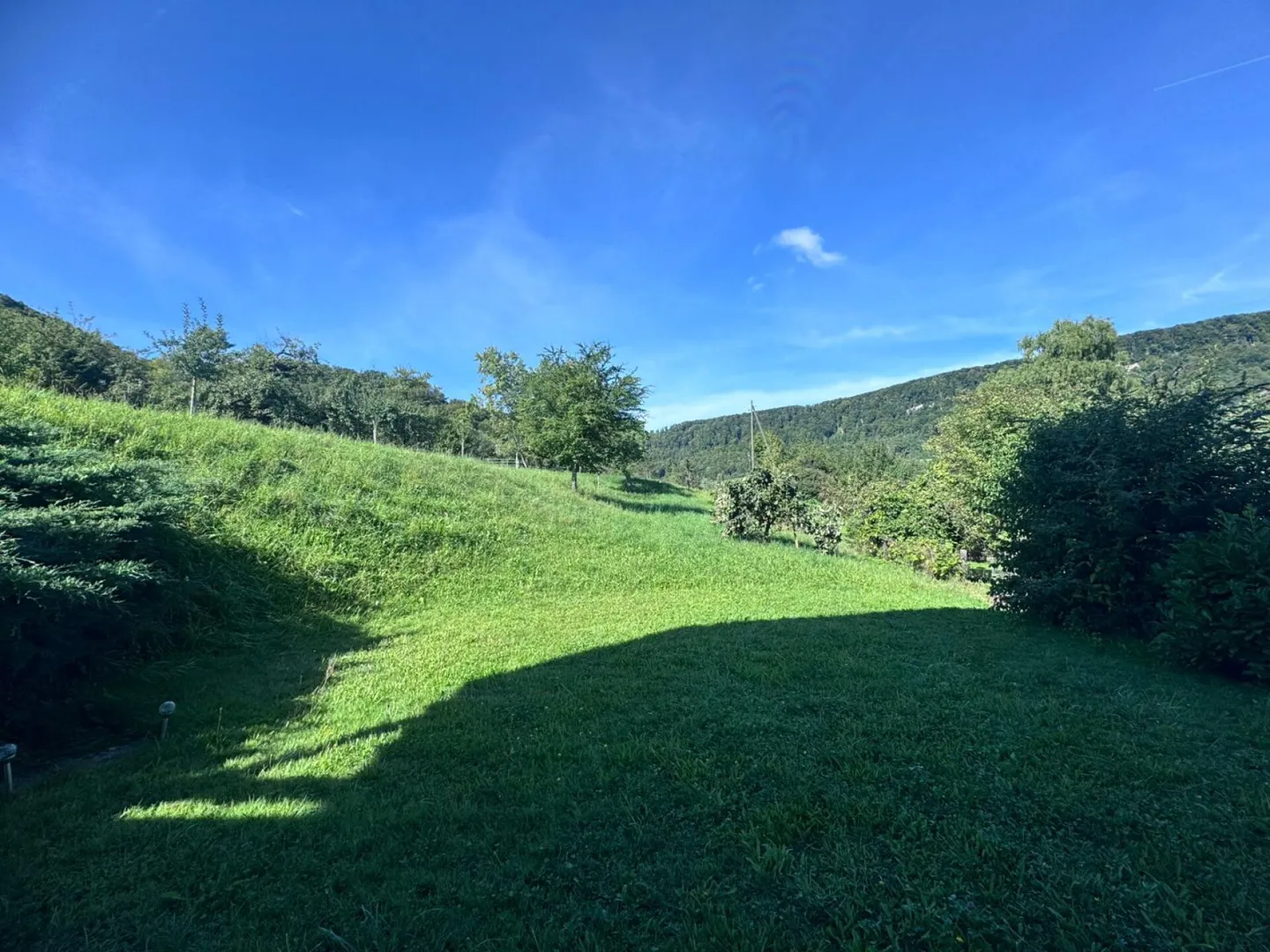 4.5-Zimmer-Wohnung im EG mit grosszügigem gedecktem Sitzplatz - Foto 7 von 9