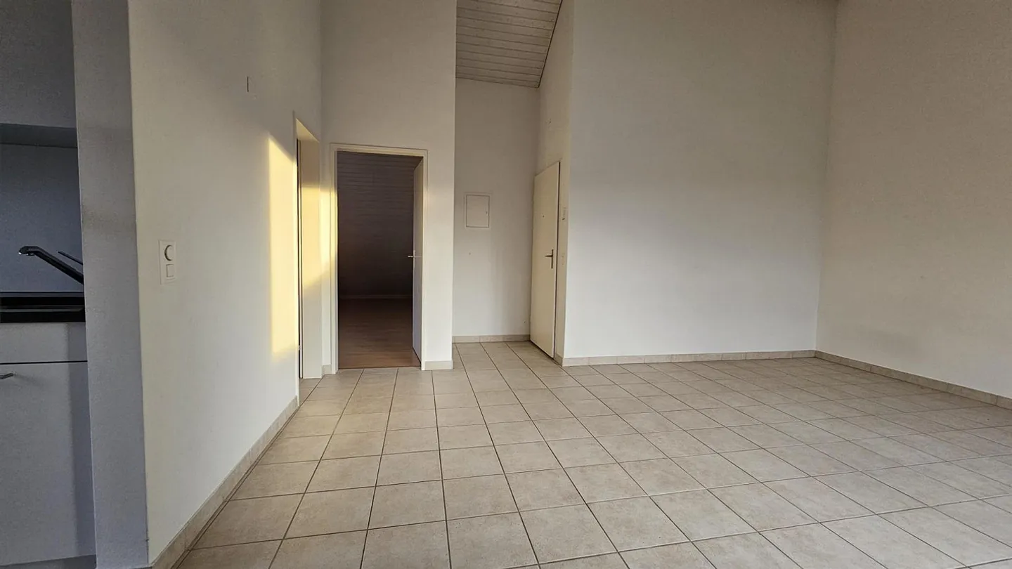 Penthouse avec terrasse de 50m2 cherche nouveaux résidents - Photo 3 sur 10