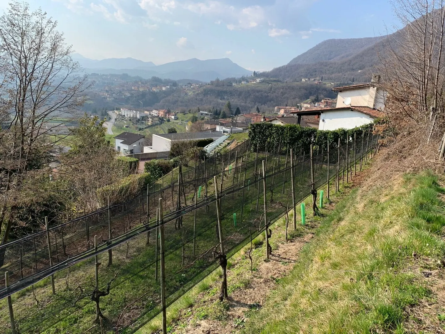 Terreno edificabile soleggiato - Foto 2 di 5