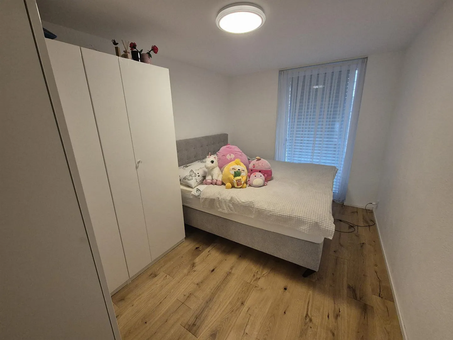 Nuovi inquilini cercasi - Foto 7 di 12