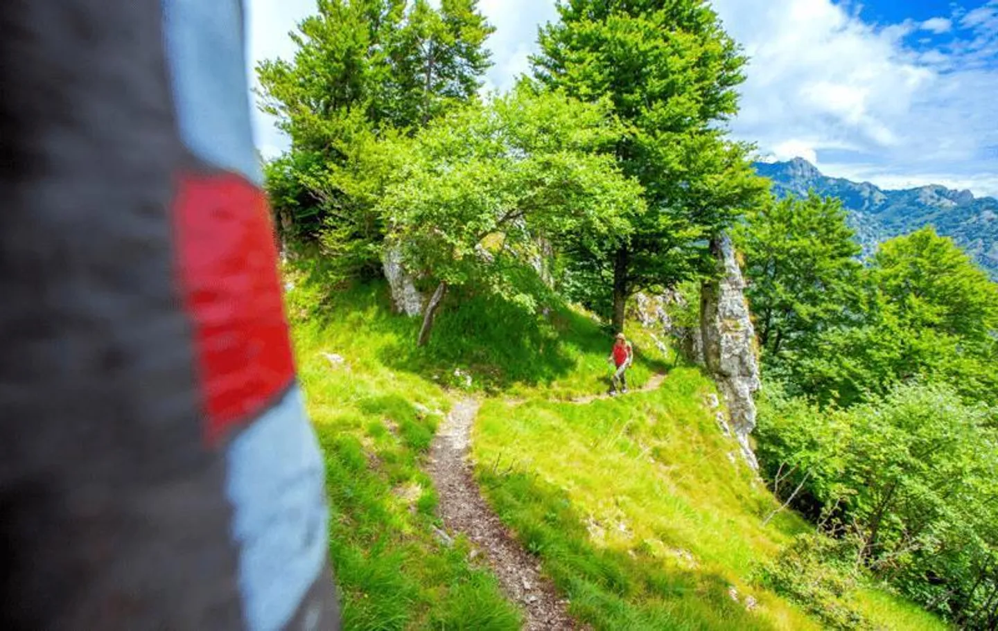 Maison individuelle au milieu de la nature - Photo 7 sur 10