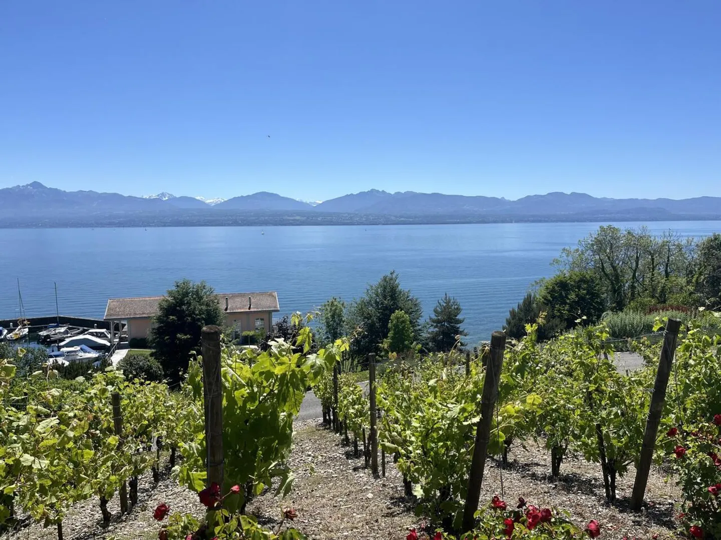 Magnifique appartement en viager occupé sans loyer. Vue sur le lac et port privé. - Photo 1 sur 34