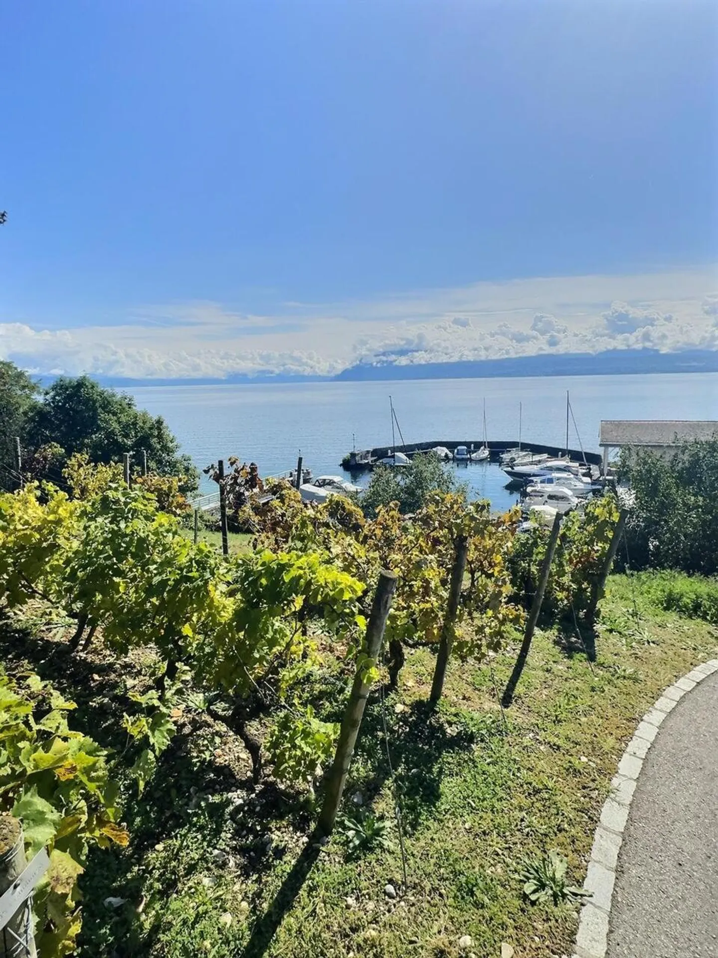 Magnifique appartement en viager occupé sans loyer. Vue sur le lac et port privé. - Photo 21 sur 34