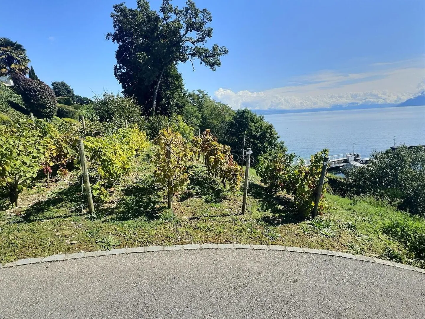 Magnifique appartement en viager occupé sans loyer. Vue sur le lac et port privé. - Photo 22 sur 34