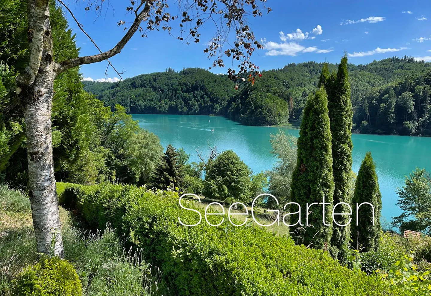 Oasis de nature unique au Wohlensee - Photo 1 sur 15