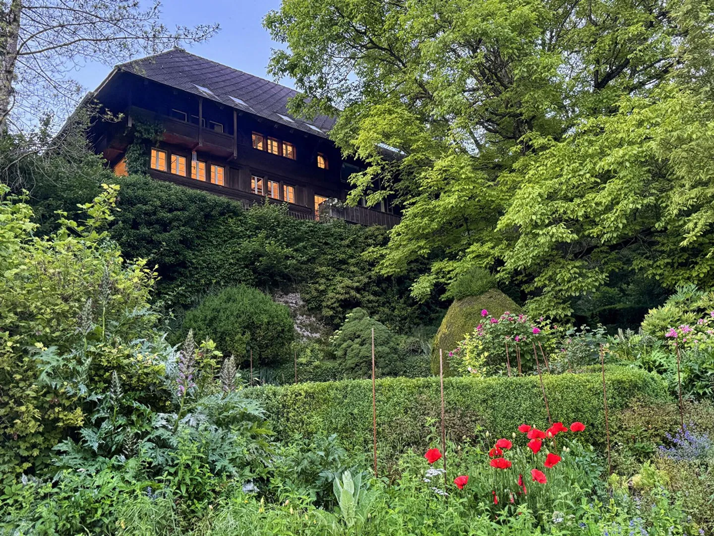 Oasis de nature unique au Wohlensee - Photo 2 sur 15