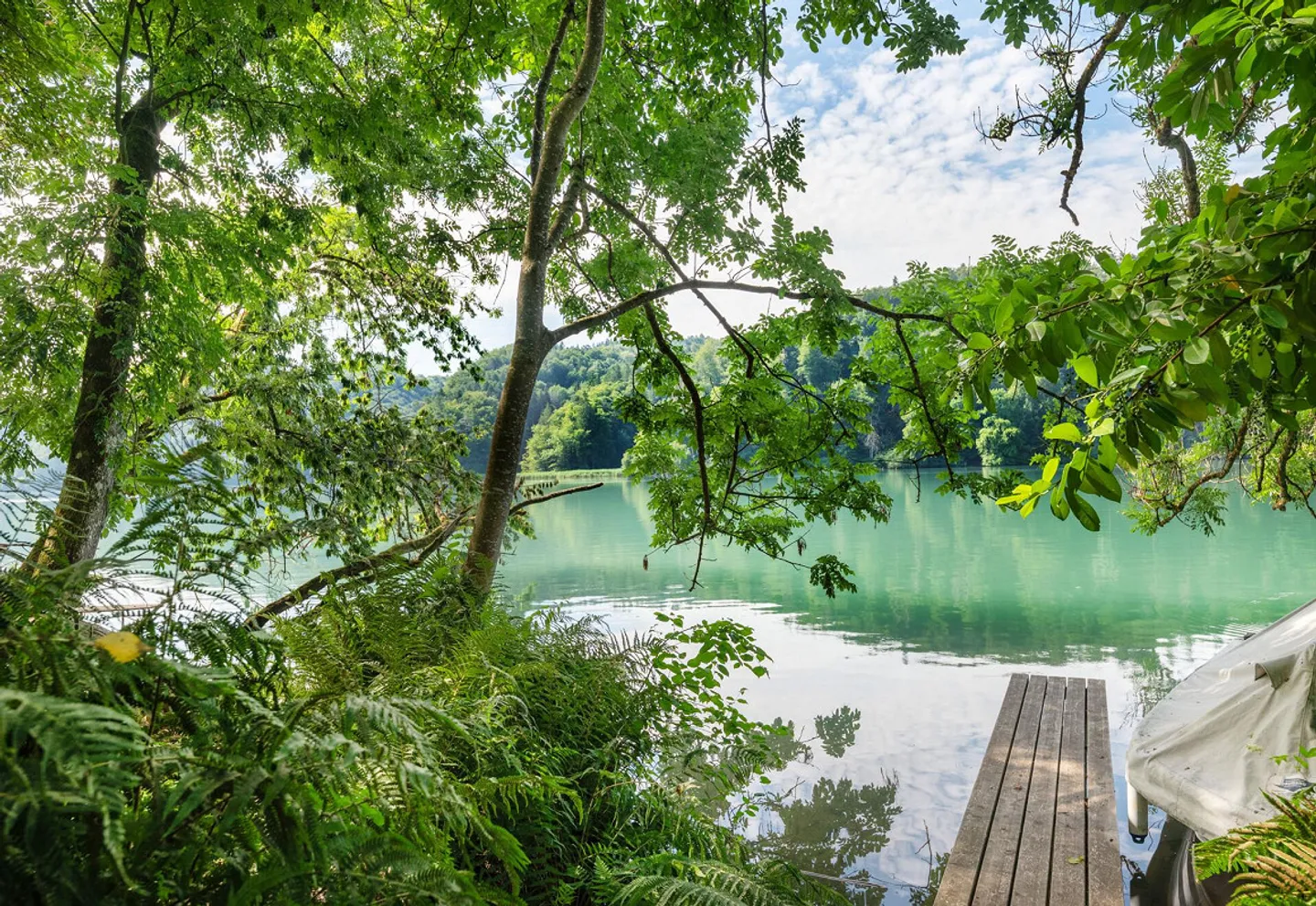 Oasis de nature unique au Wohlensee - Photo 3 sur 15