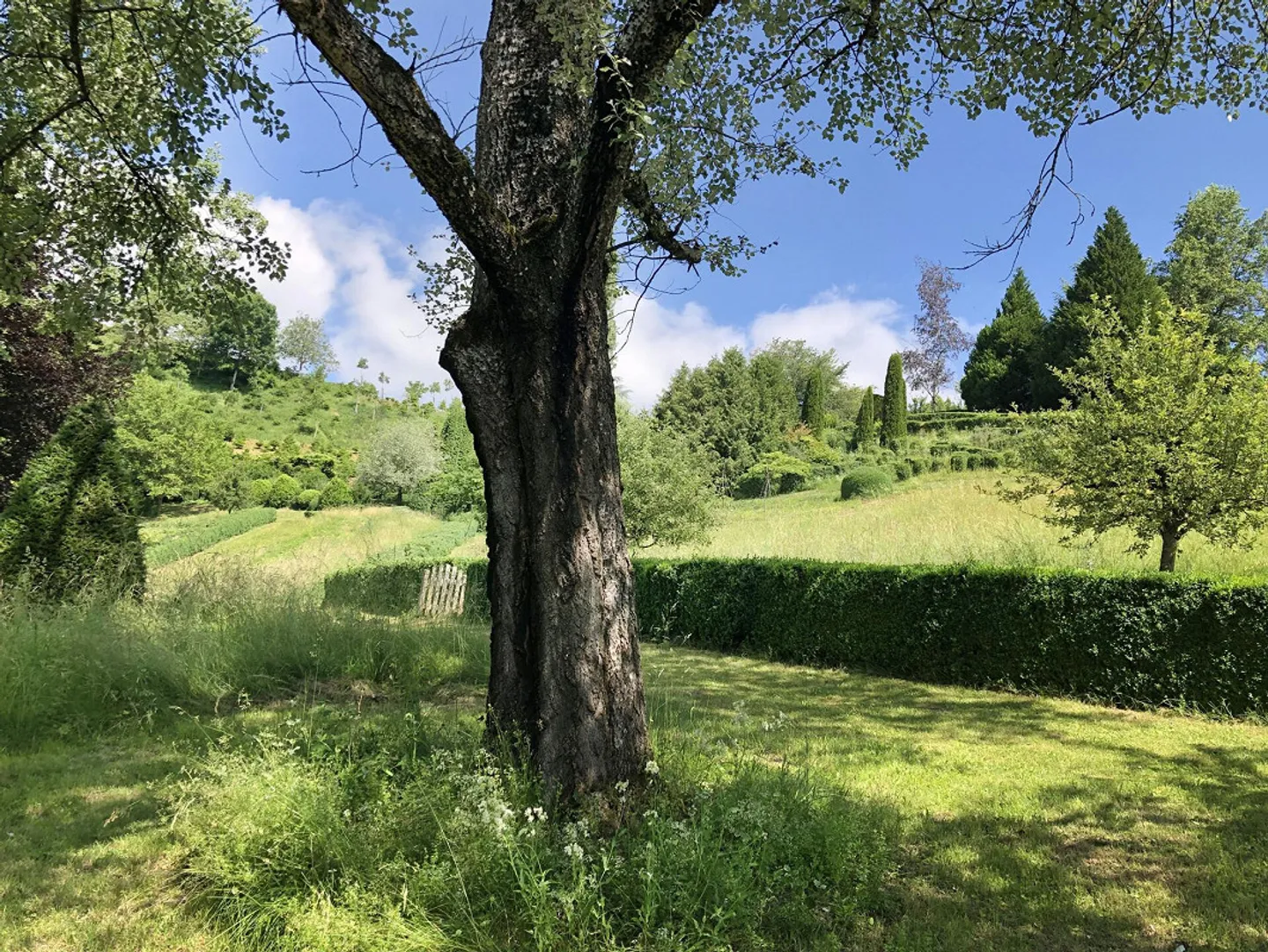 Oasis de nature unique au Wohlensee - Photo 5 sur 15