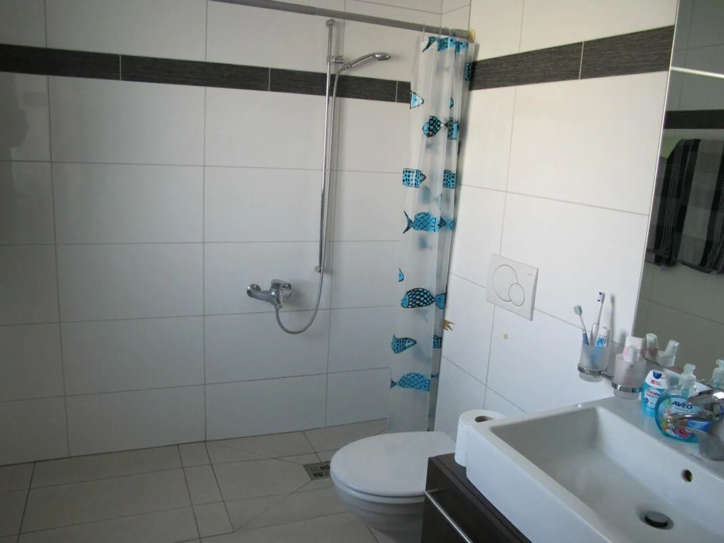 Appartamento 4.5 stanze Piano Terra - Foto 7 di 12