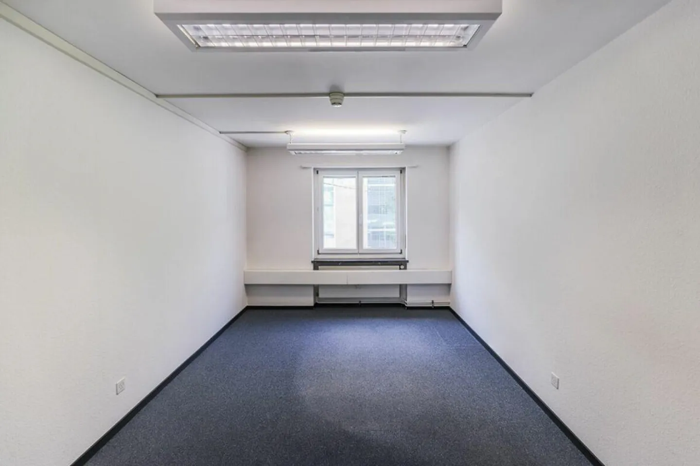 Flächen für vielseitige Nutzungskonzepte zu vermieten - Foto 2 von 2
