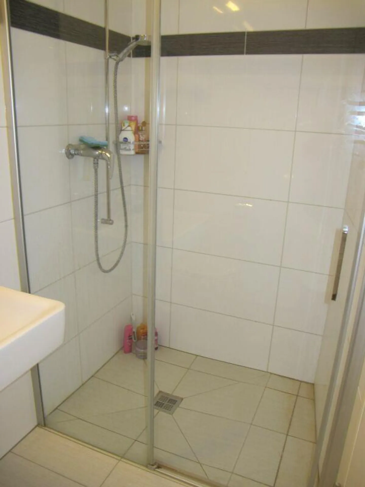 Appartamento 4.5 stanze Piano Terra - Foto 9 di 12