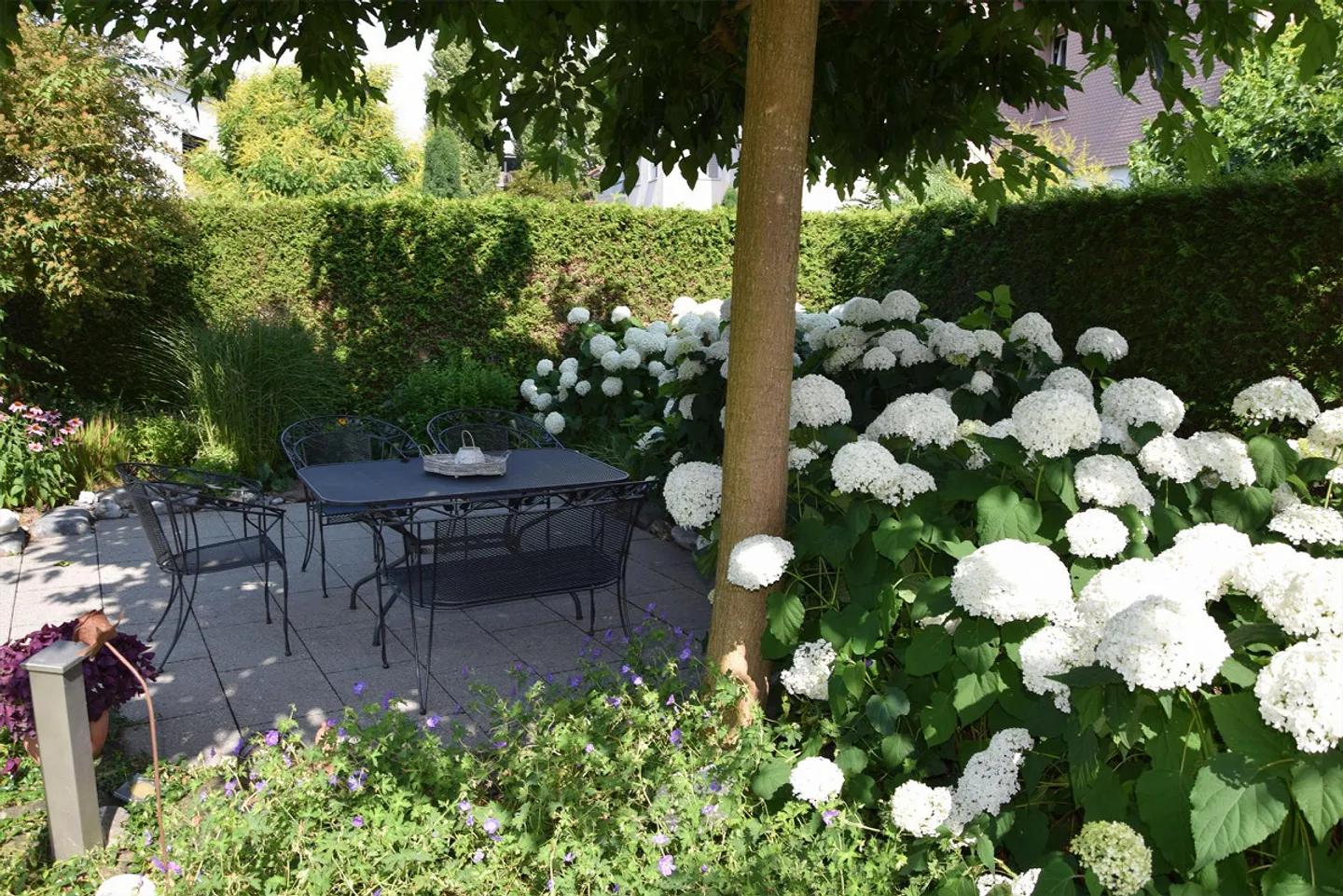 Casa unifamiliare ben tenuta e indipendente con giardino d'inverno - Foto 5 di 18