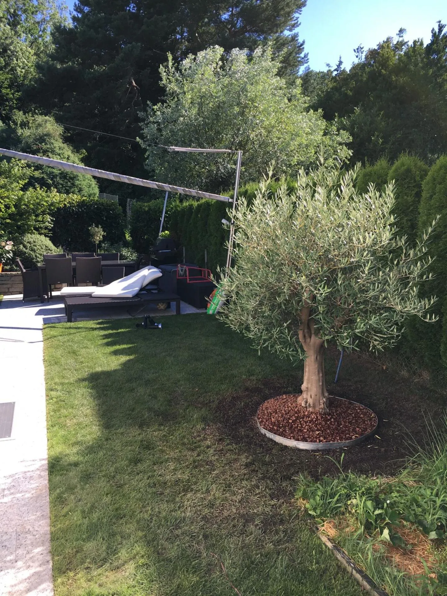 Villa Porza 6.5 locali con piscina - Foto 15 di 17