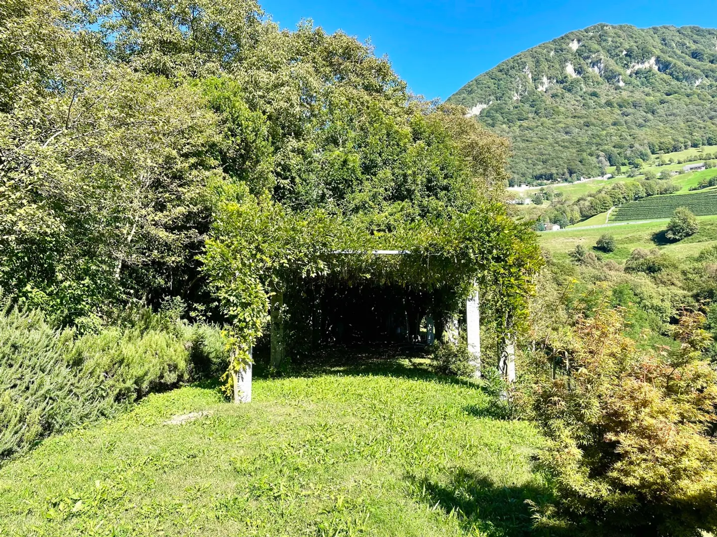 Charmantes Einfamilienhaus - Foto 11 von 13