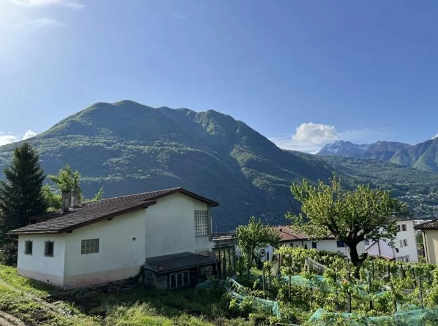 4.5 Loc PT Duplex con Giardino - Nuova Costruzione Minergie / 4.5z nuove Minergie-appartamenti - Foto 3 di 7