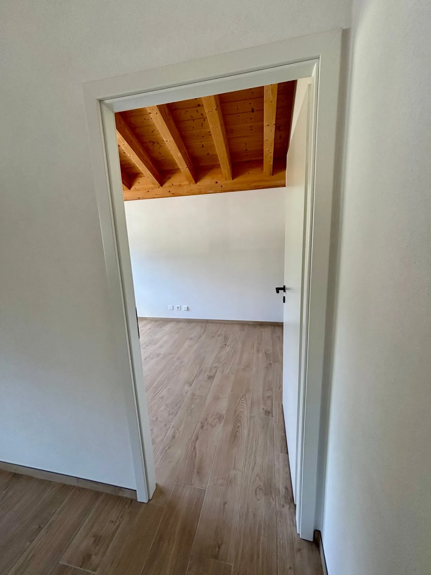 Last lot: 4 1/2 and 2 1/2 rooms (for commercial use) - Photo 32 of 39