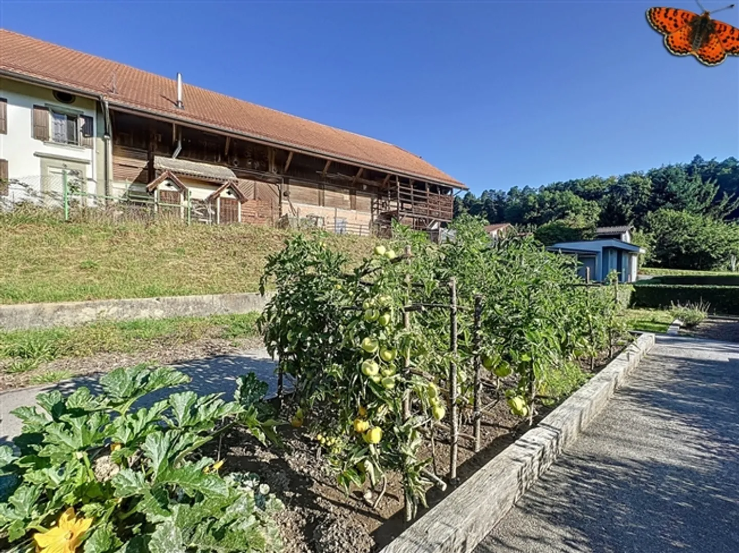 1,5 CHAMBRES - Avec Terrasse ! - Photo 7 sur 15