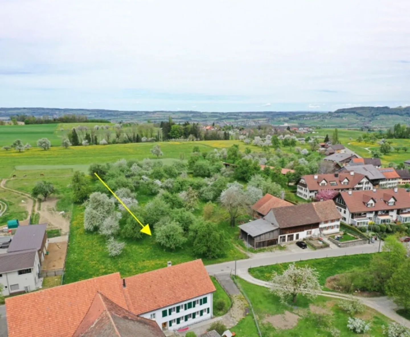Überbauung Sunnegg - Wohntraum in Holz100 - Foto 6 di 7
