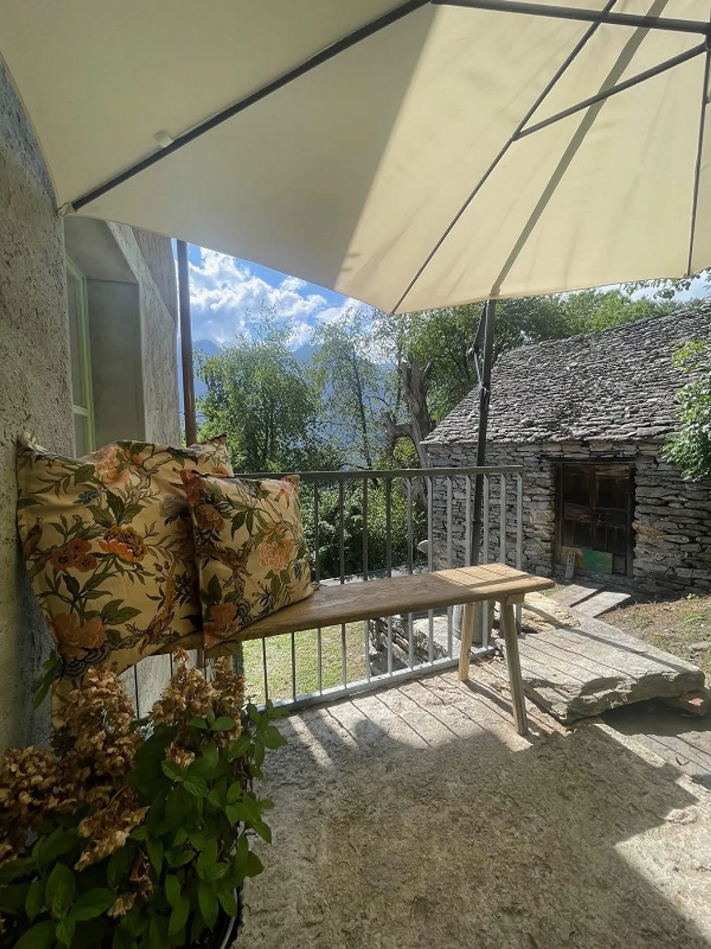 SHADOW OF THE CHESTNUT - Photo 5 of 25