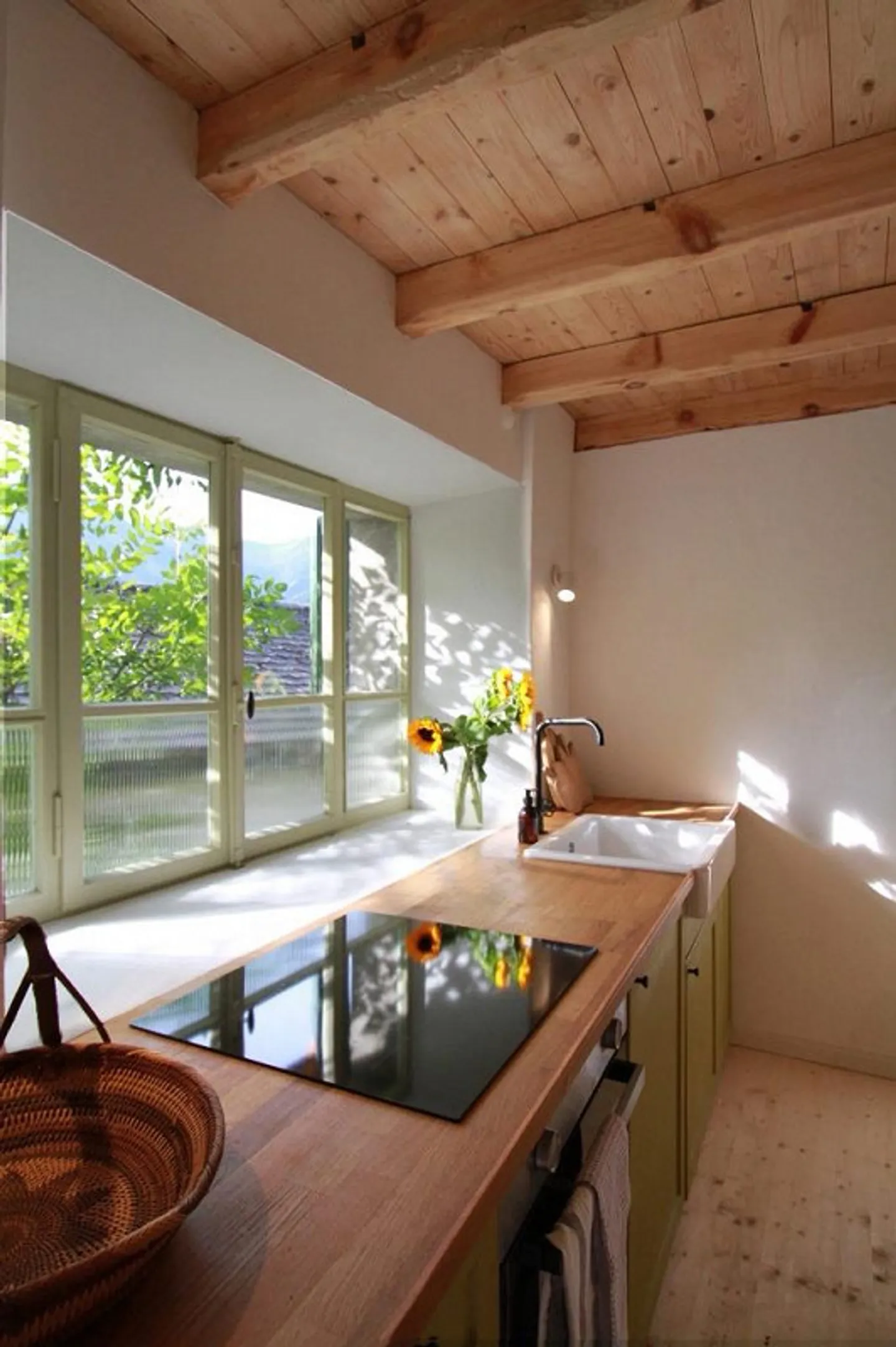 SHADOW OF THE CHESTNUT - Photo 6 of 25