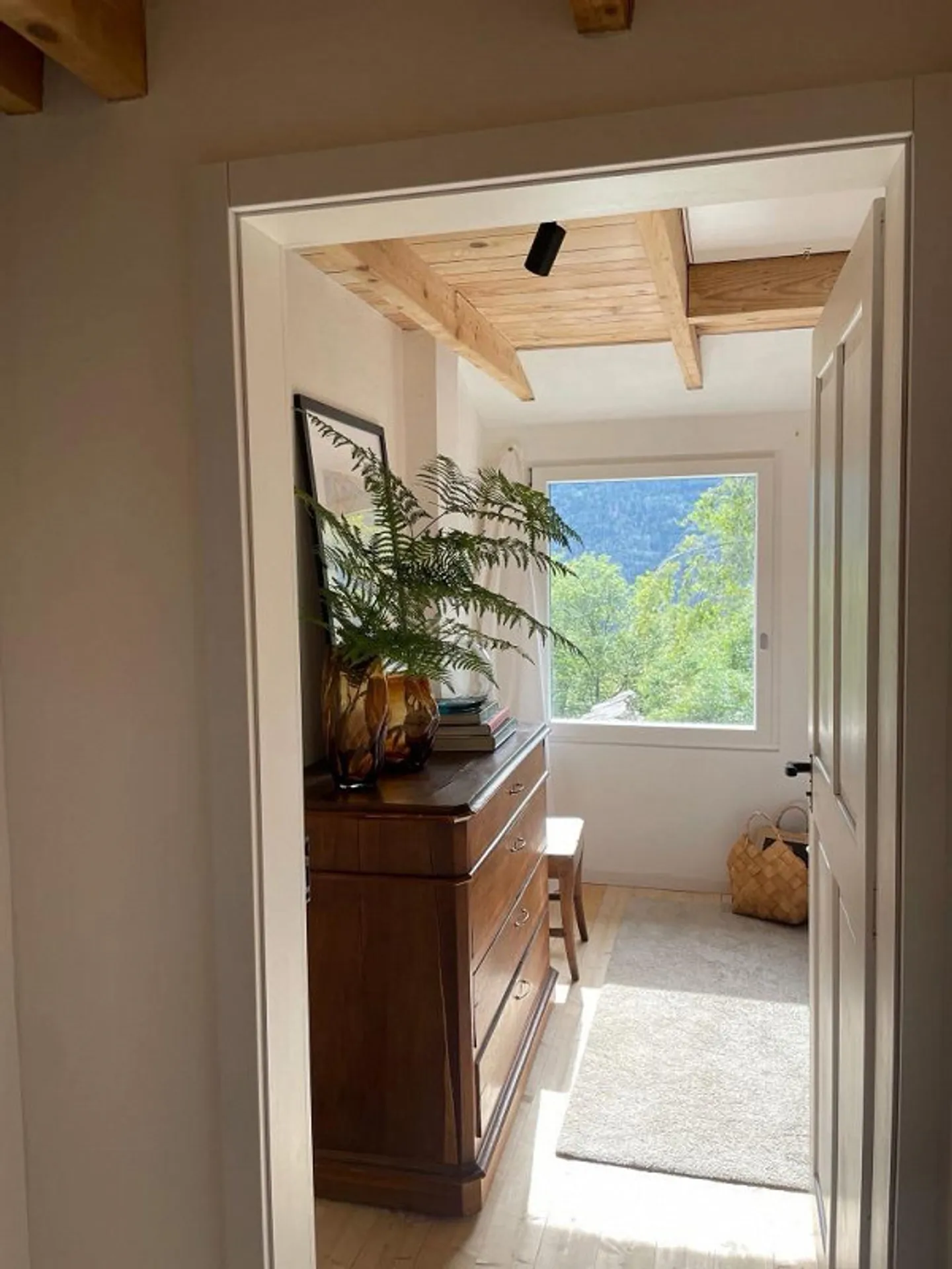 SHADOW OF THE CHESTNUT - Photo 12 of 25