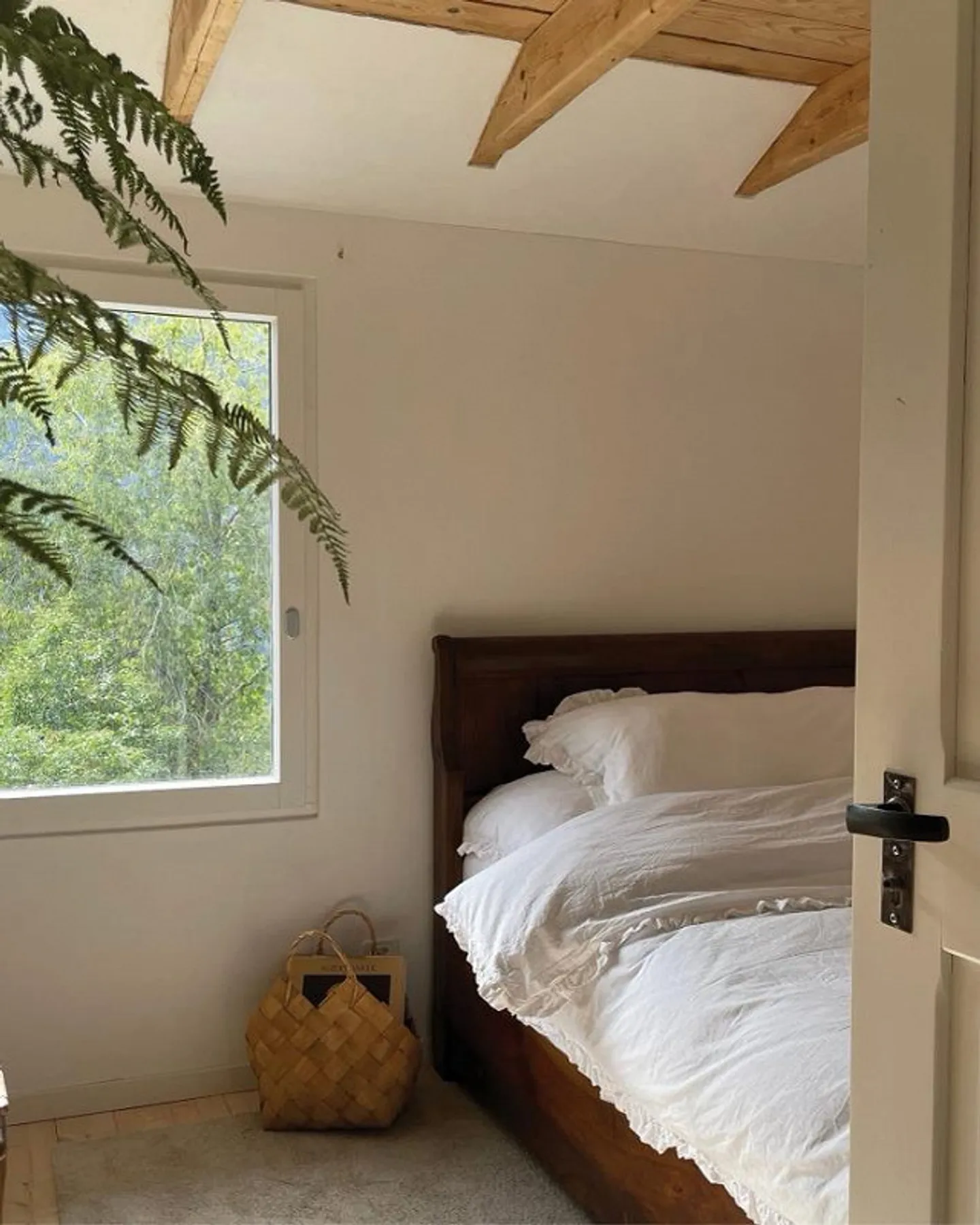 SHADOW OF THE CHESTNUT - Photo 11 of 25