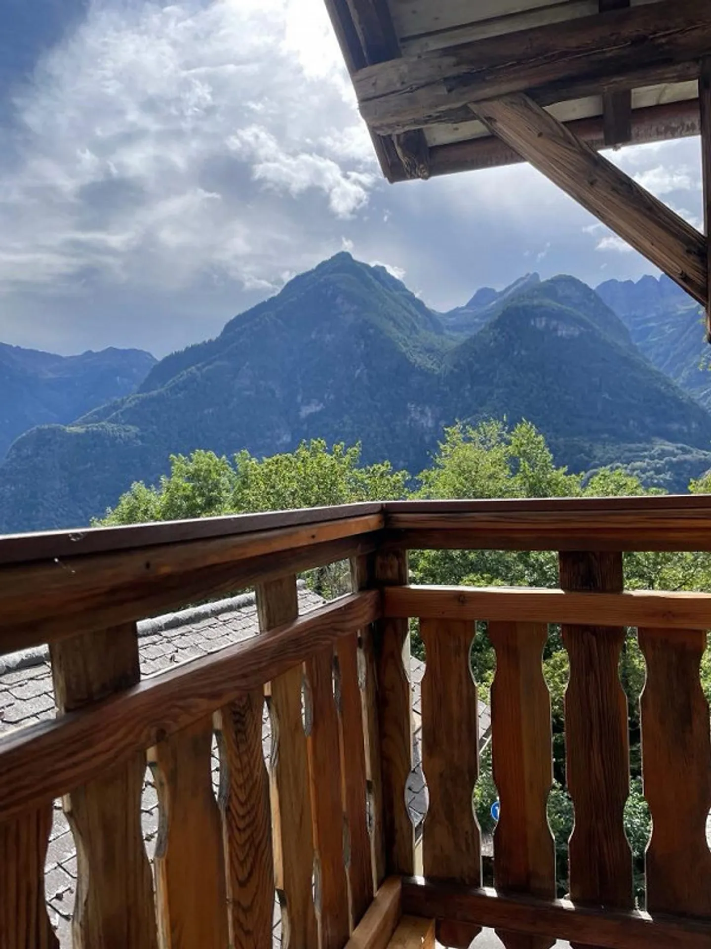 SHADOW OF THE CHESTNUT - Photo 17 of 25