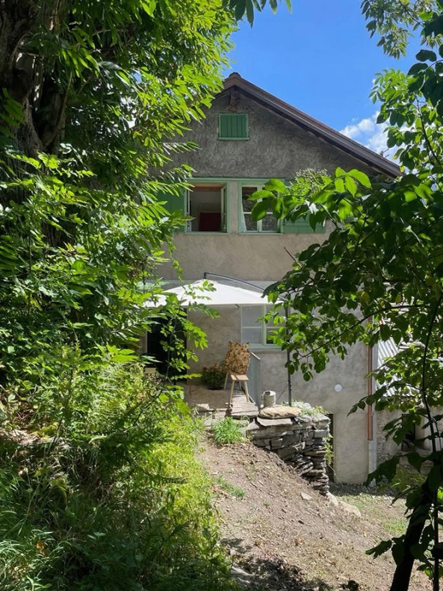 SHADOW OF THE CHESTNUT - Photo 18 of 25